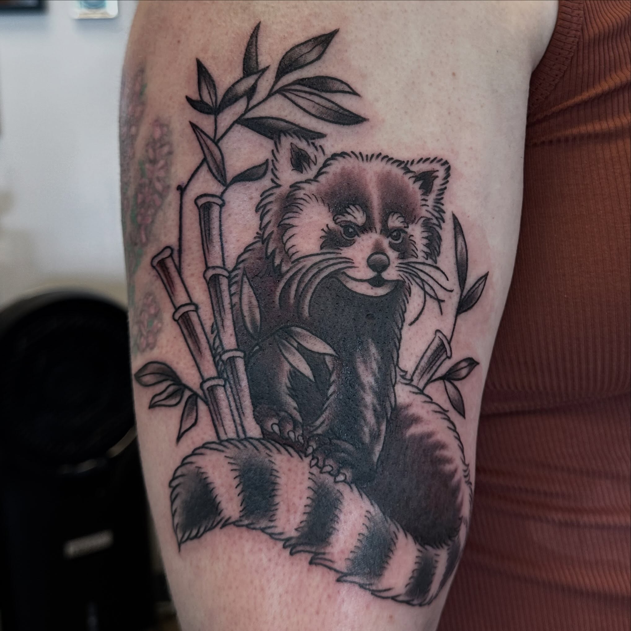 Red panda black and grey tattoo on the forearm by Katie Beth