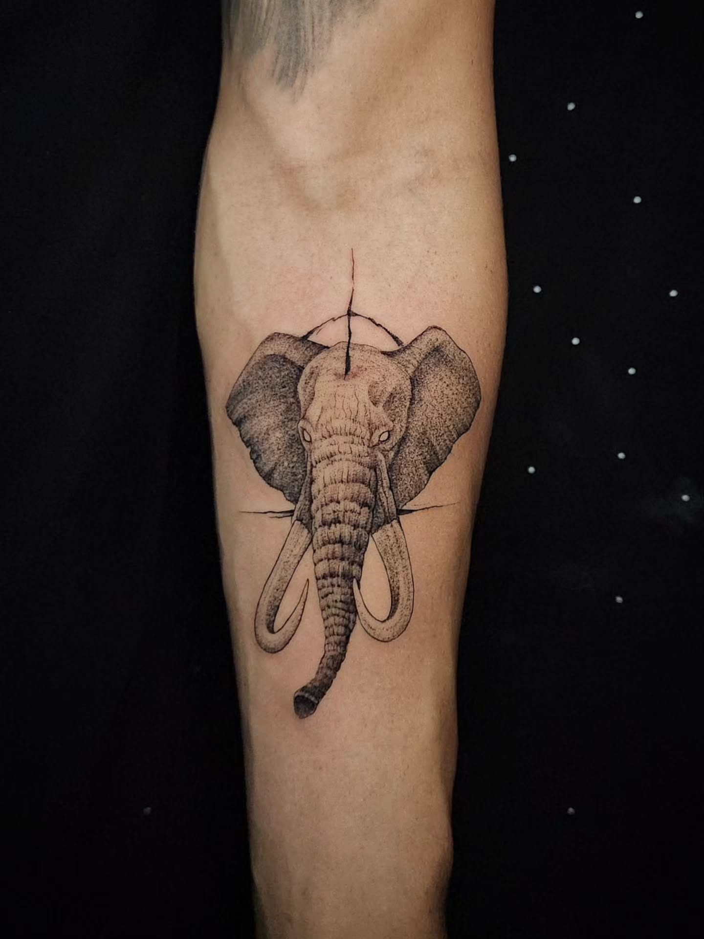 Tattoo by @dycotattoo — dotwork