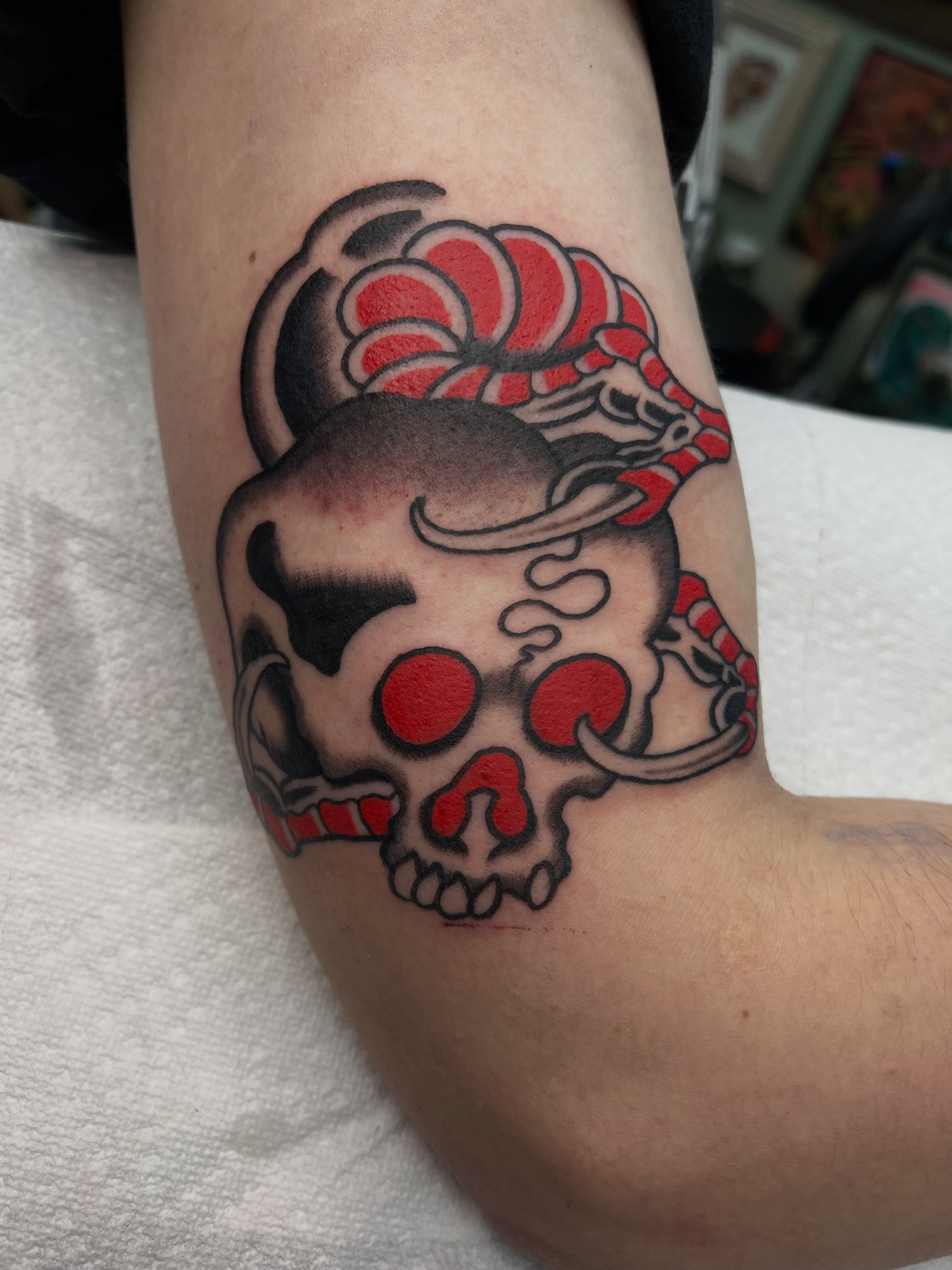 Skull with snake American traditional tattoo on the forearm by Brandon McDaniel Iowa Tattoo Artist