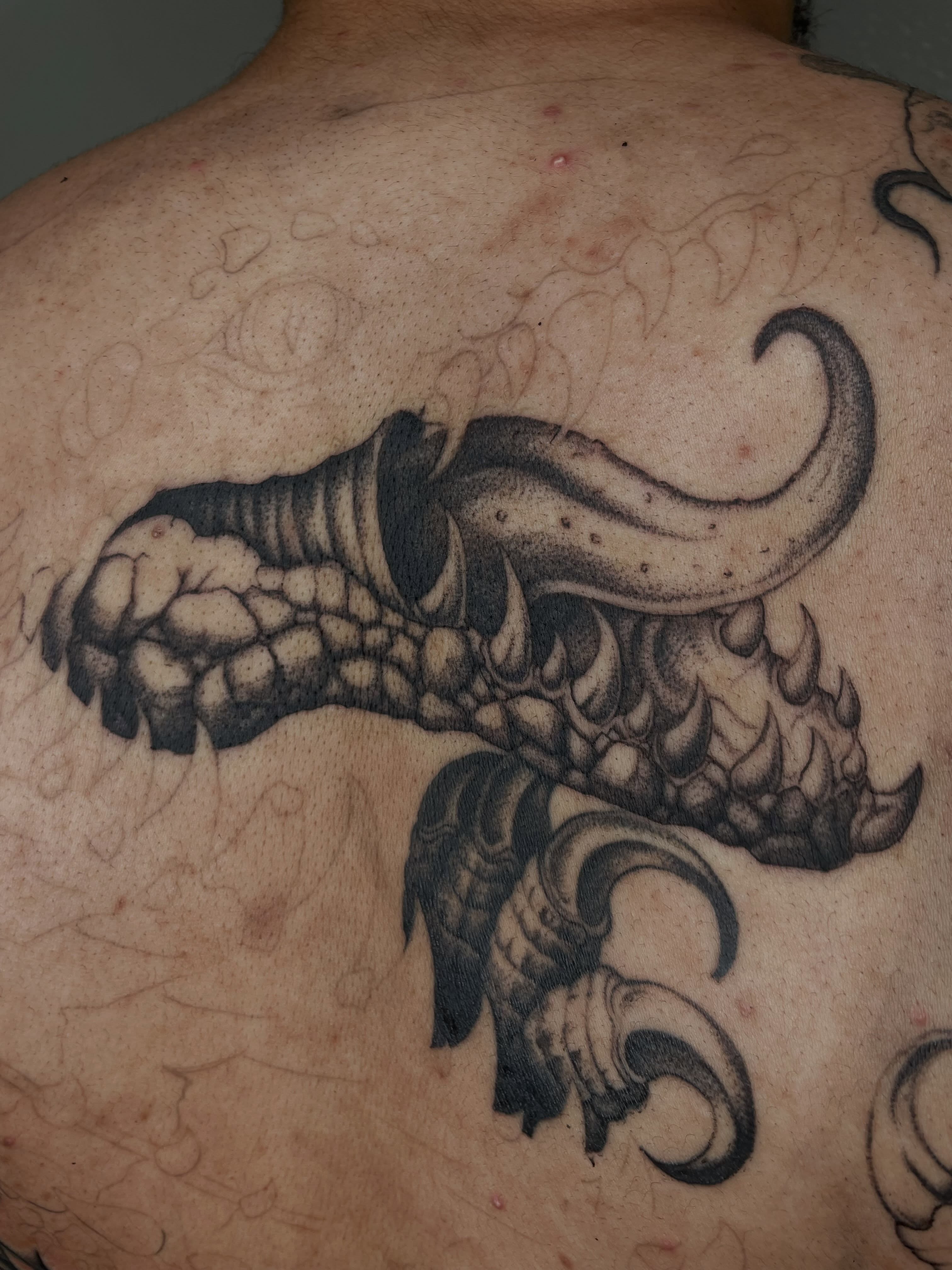 Dragon claw black and grey tattoo on the back by Vash
