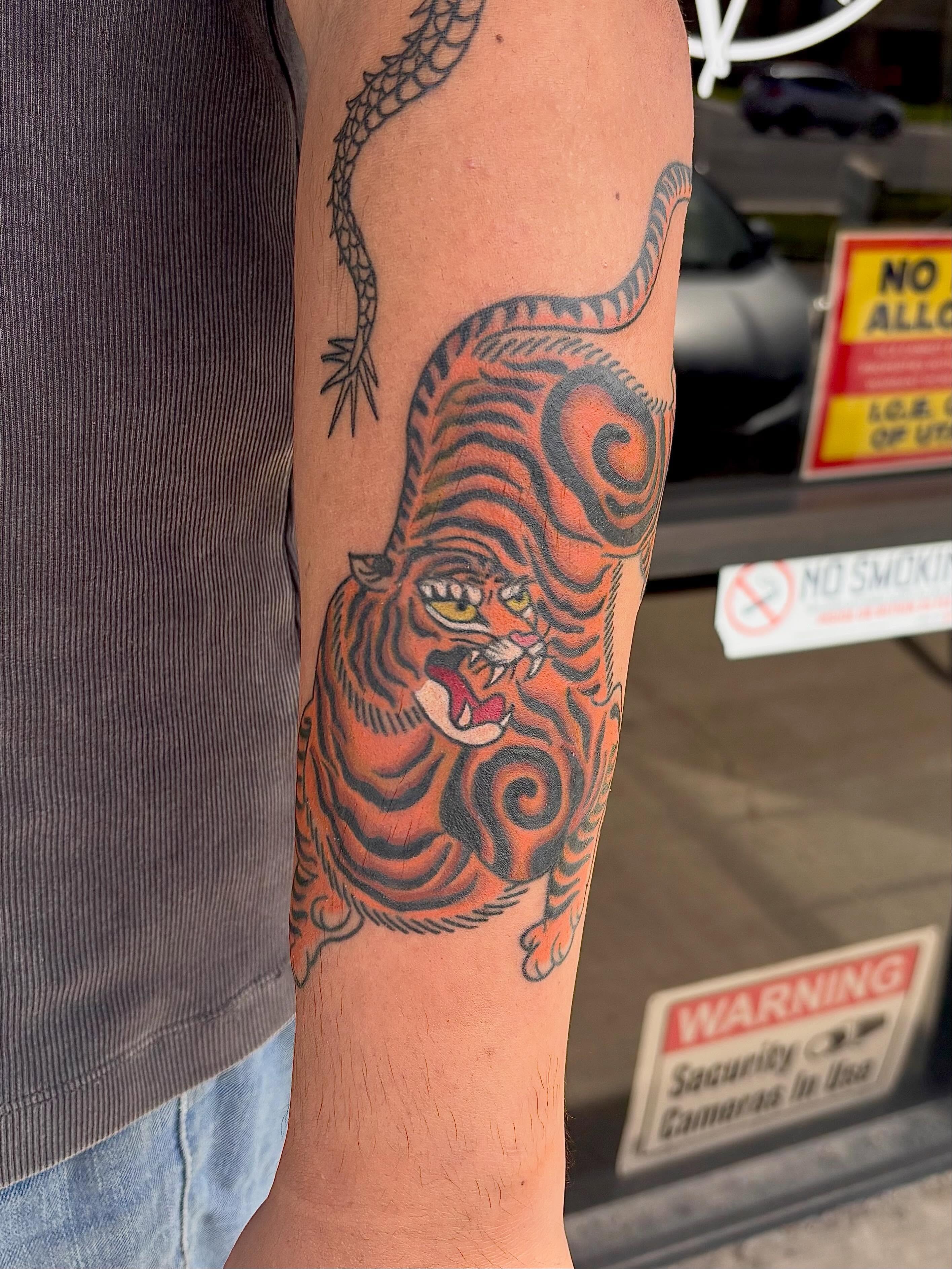 Tiger American traditional tattoo on the forearm by Erica McCullough