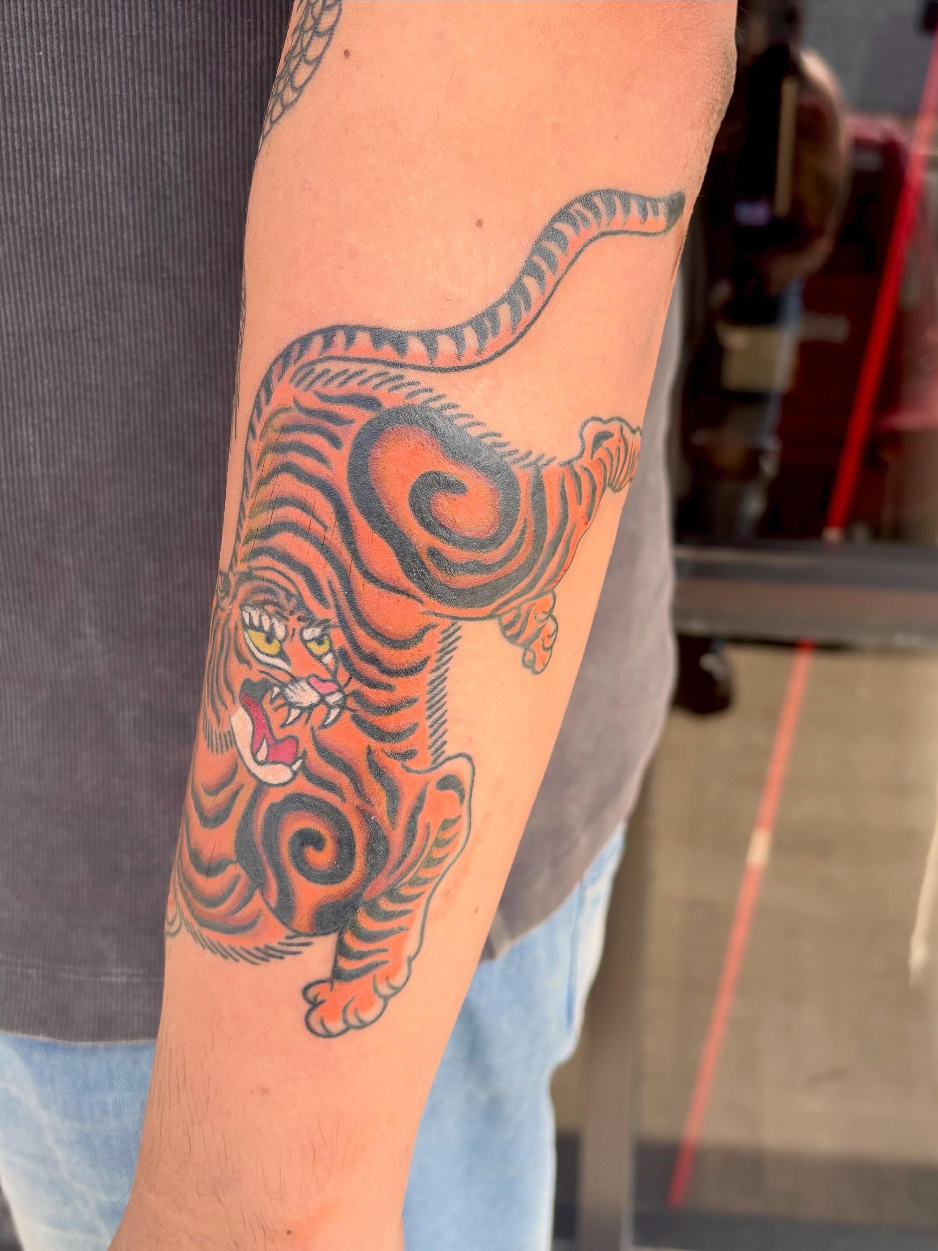 Tiger American traditional tattoo on the forearm by Erica McCullough