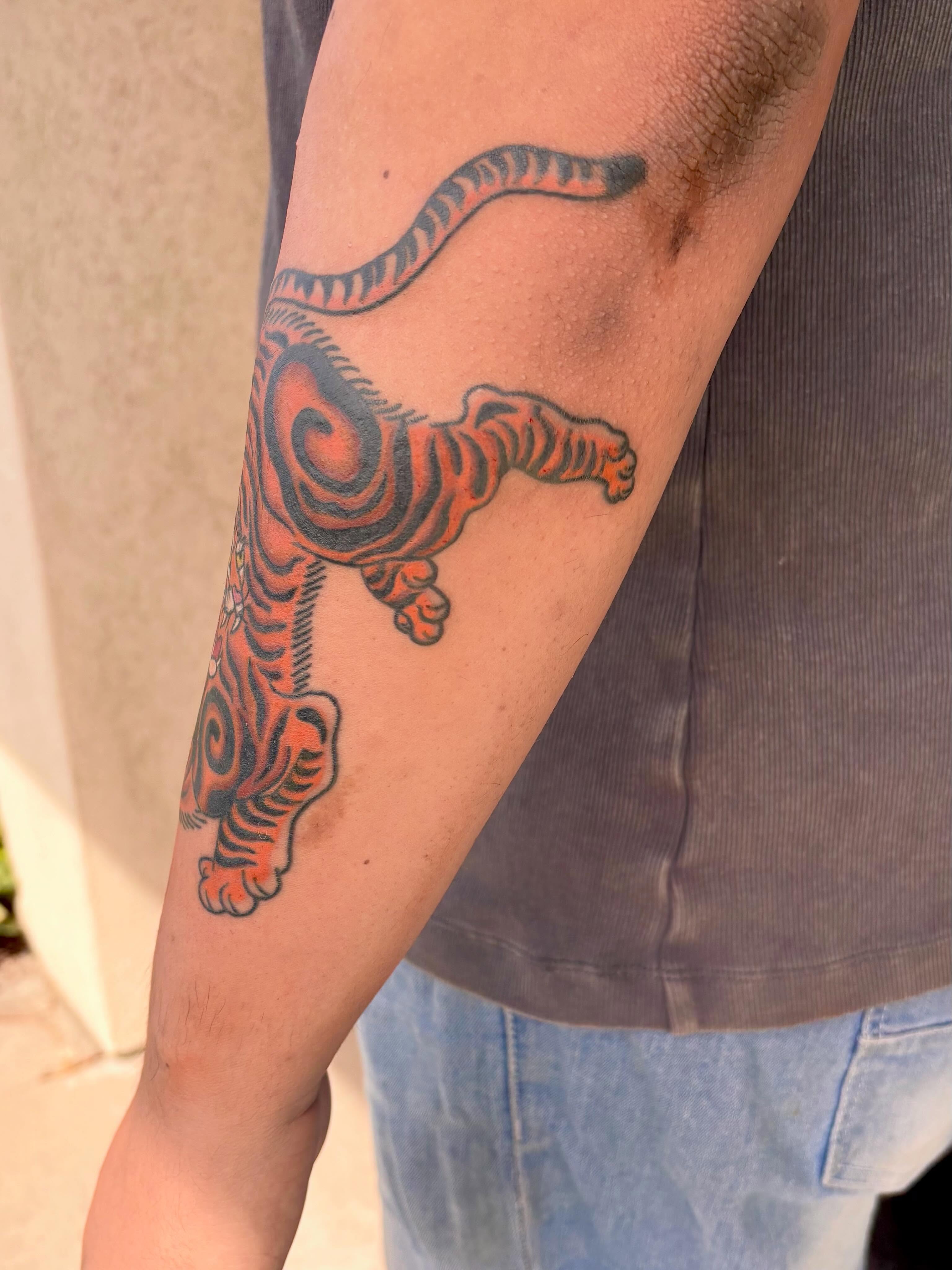 Tiger American traditional tattoo on the forearm by Erica McCullough