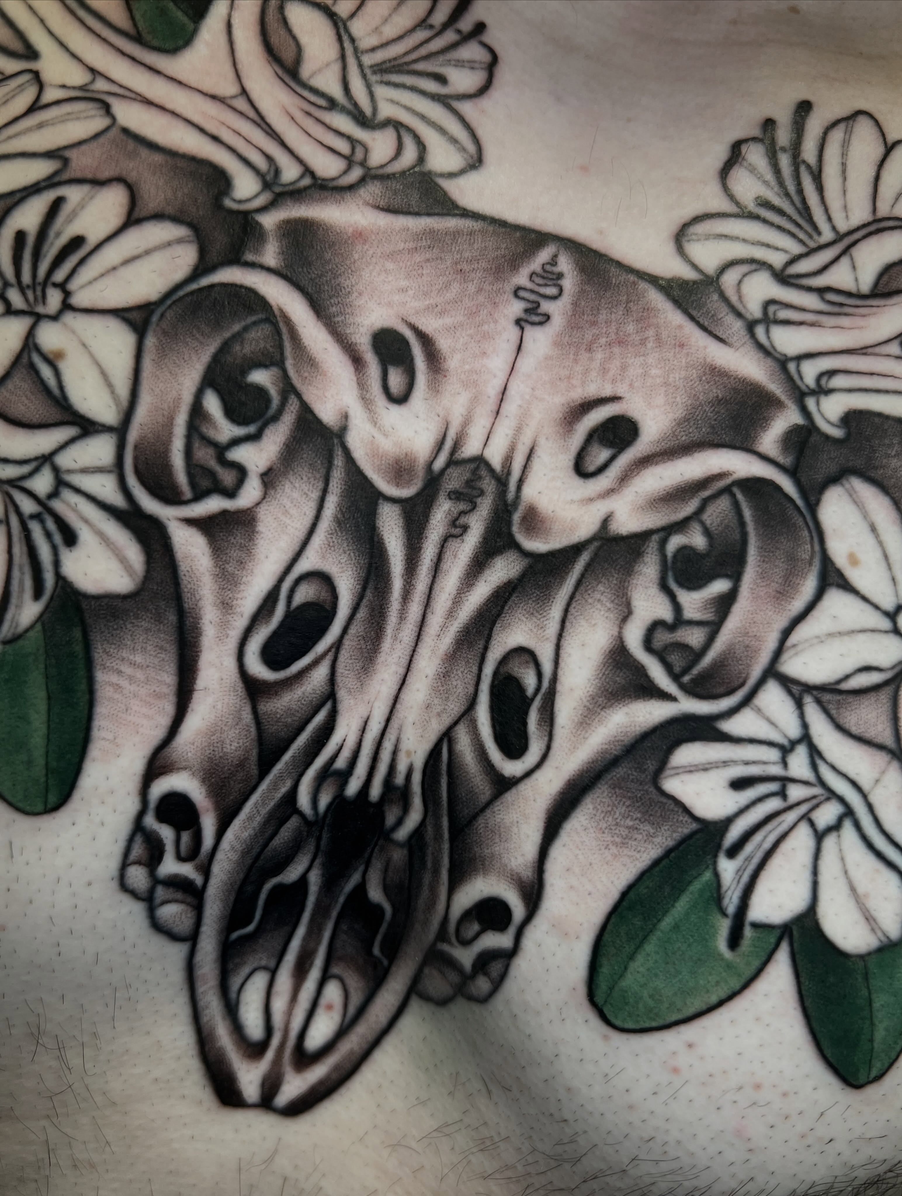 Tattoo by @katienowicki — american_traditional