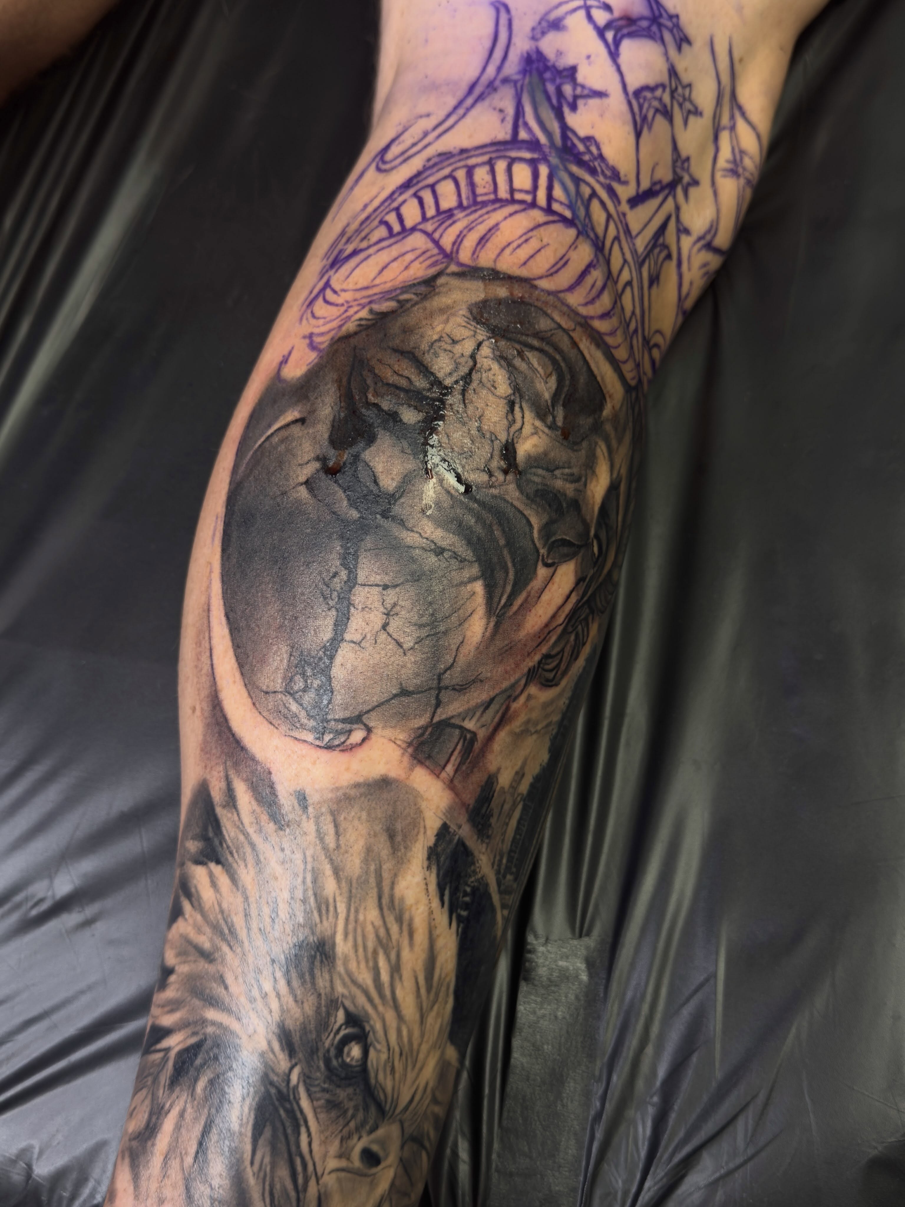 Wolf and cracked earth realism tattoo on the forearm by Eric RudeInk