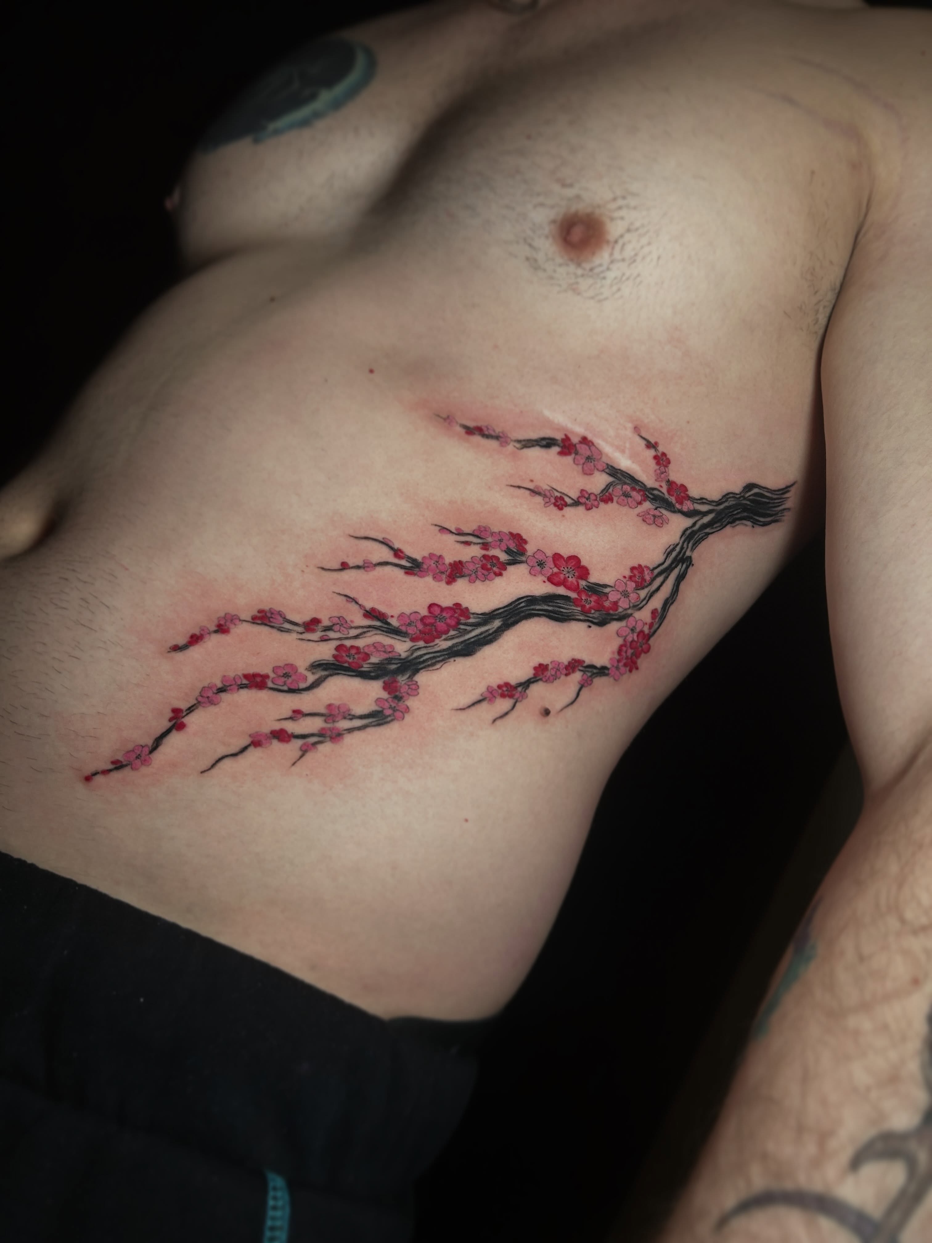 Cherry blossom branch dotwork tattoo on the ribs by Ashlee Mshar
