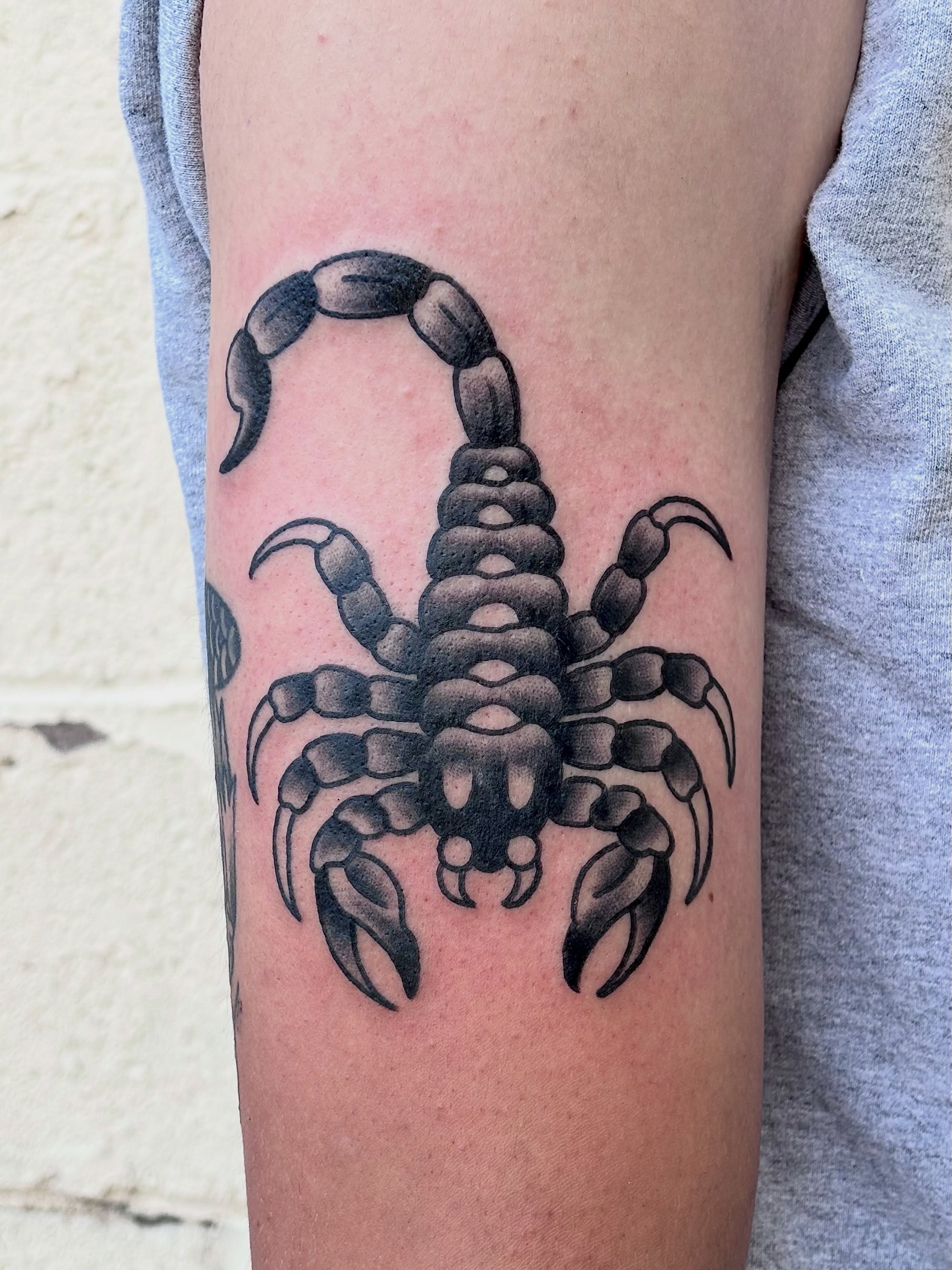 Scorpion black and grey tattoo on the forearm by ★ ★ ★ Matt Reinstone ★ ★ ★