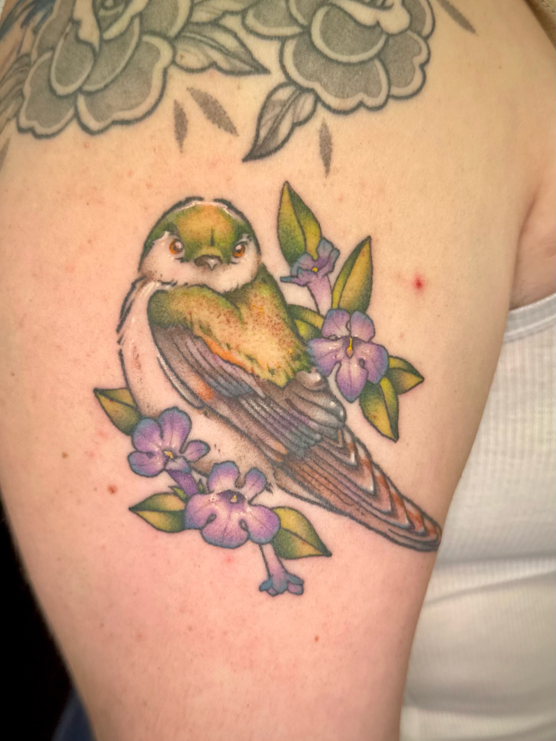 Bird and flowers American traditional tattoo on the shoulder by Maddie Morrill