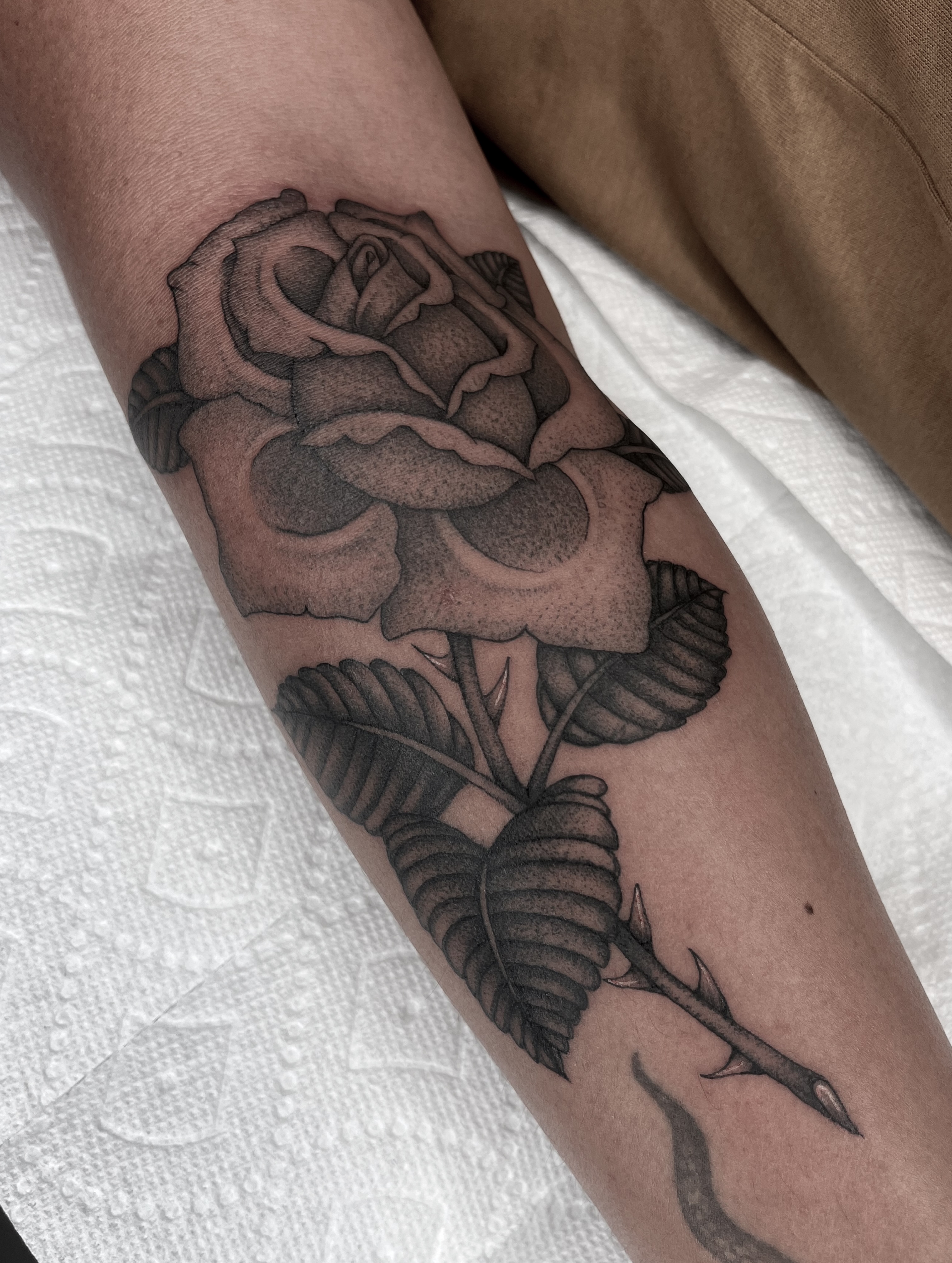Rose realism tattoo on the forearm by The One Who’s Always Drawing