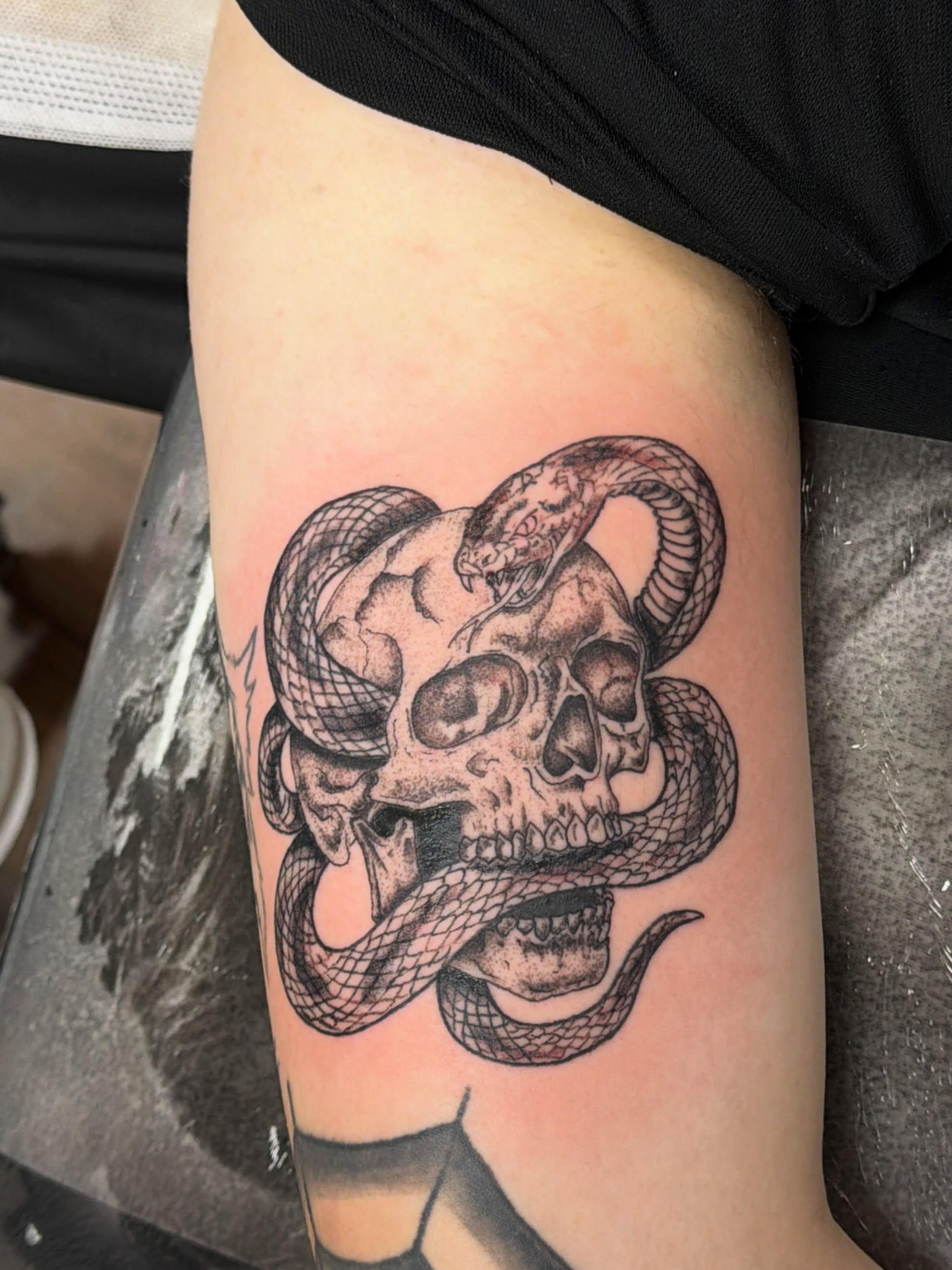 Skull and snake black and grey tattoo on the forearm by cortez