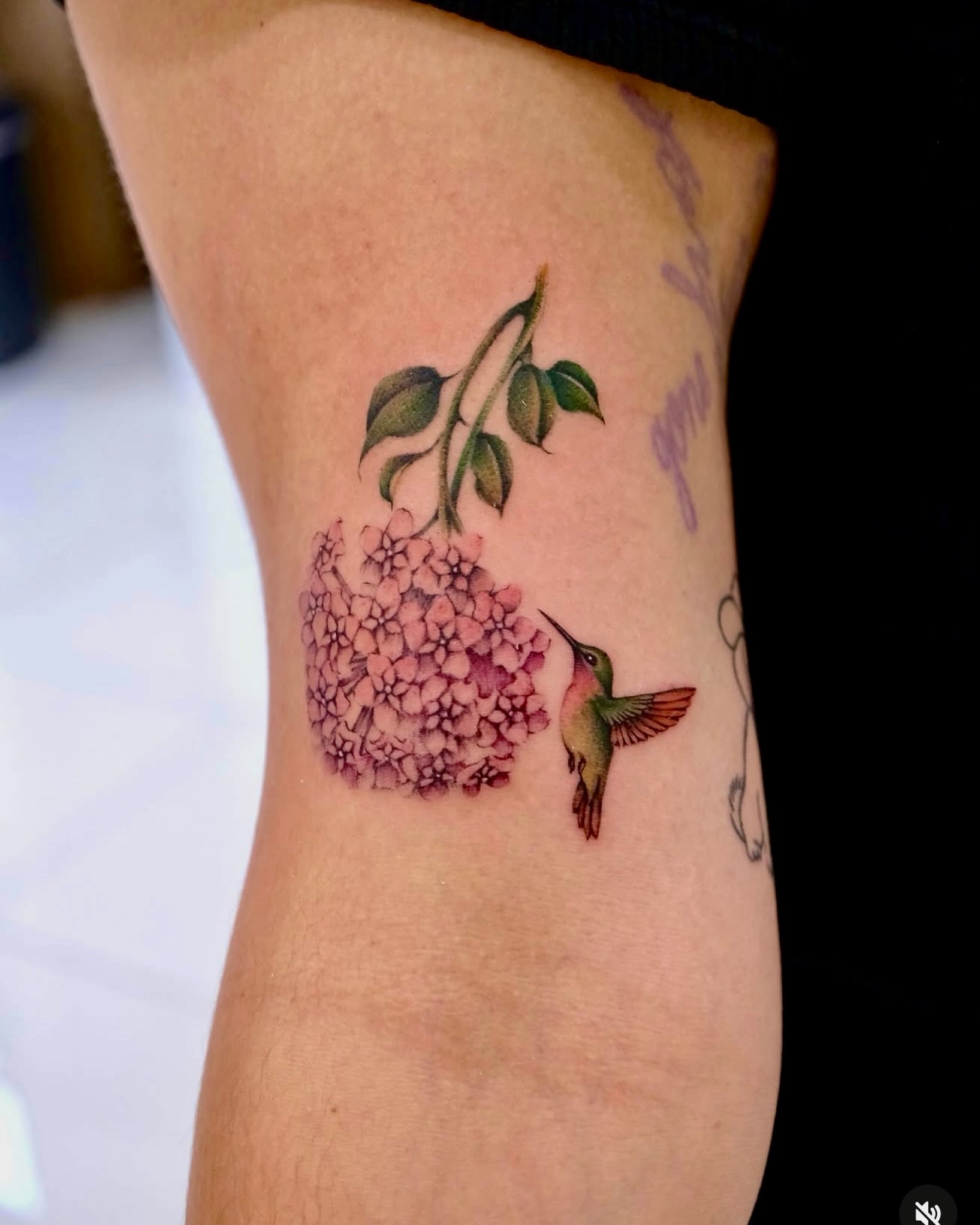 Hummingbird and hydrangea realism tattoo on the forearm by Raytattooist