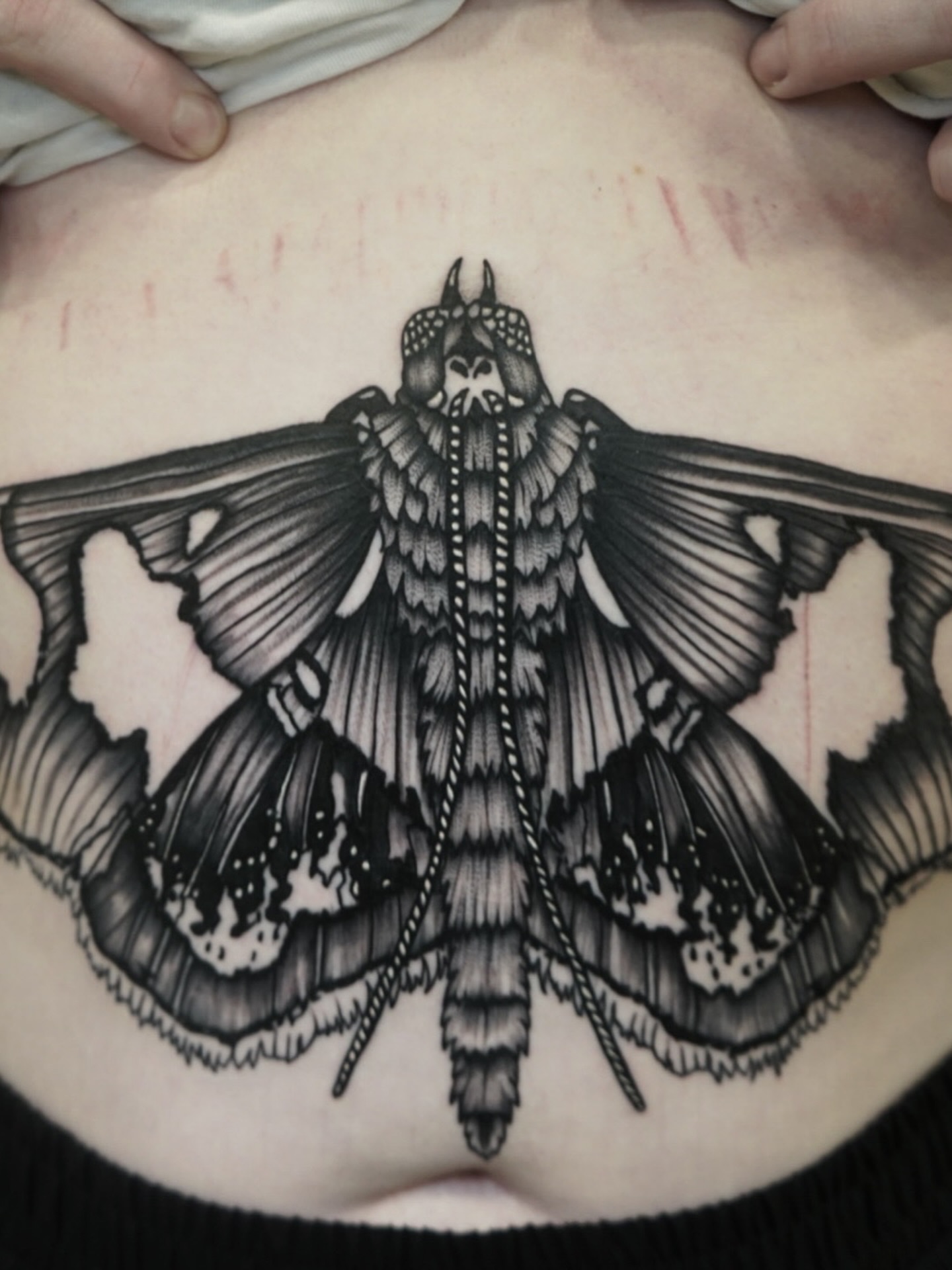 Moth black and grey tattoo on the torso by Kirsten Cameron