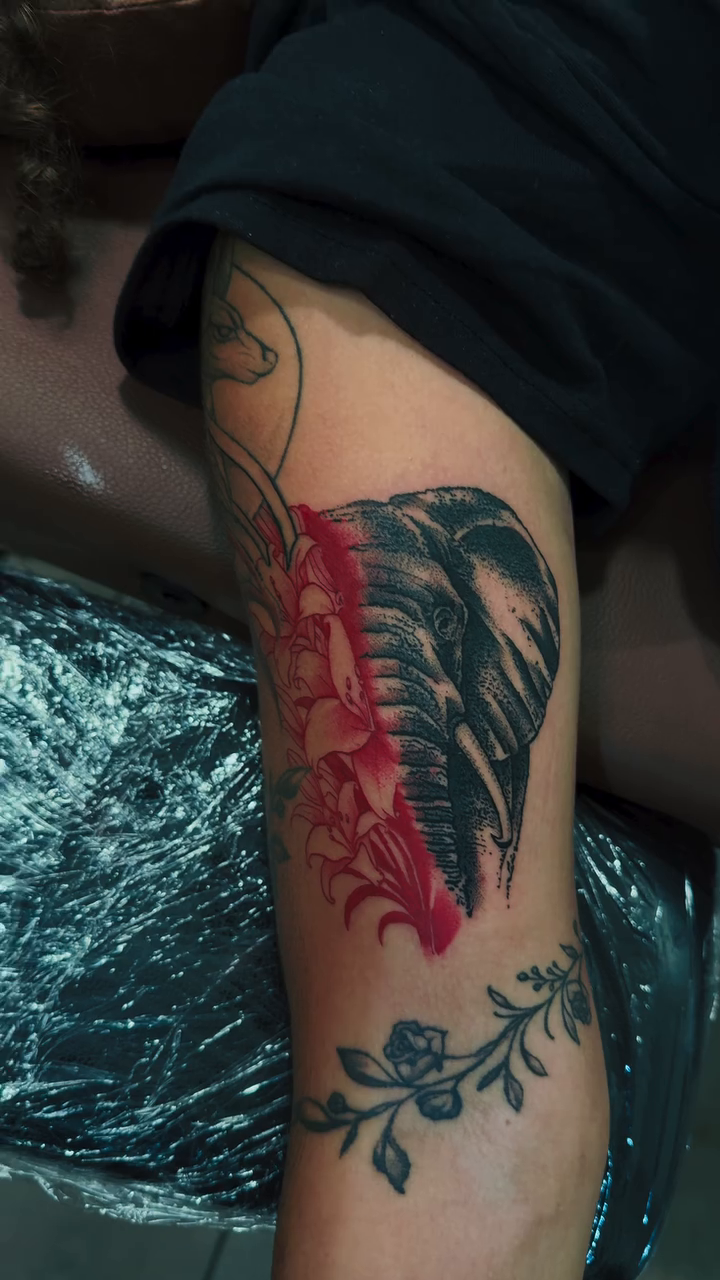 Elephant and flowers realism tattoo by Noir