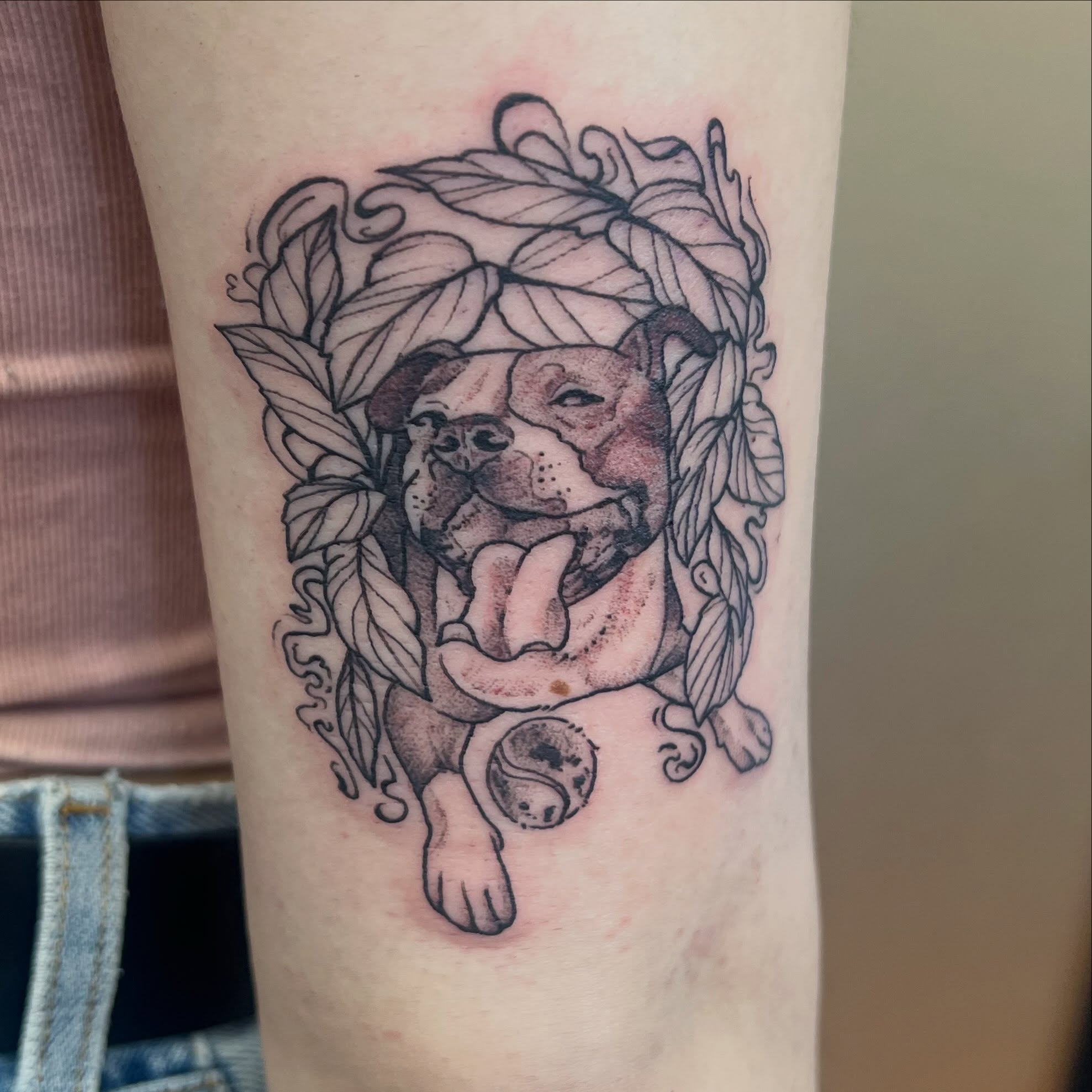 Bulldog with leaves black and grey tattoo on the forearm by 🍄‍🟫🍄Moth🍄🍄‍🟫