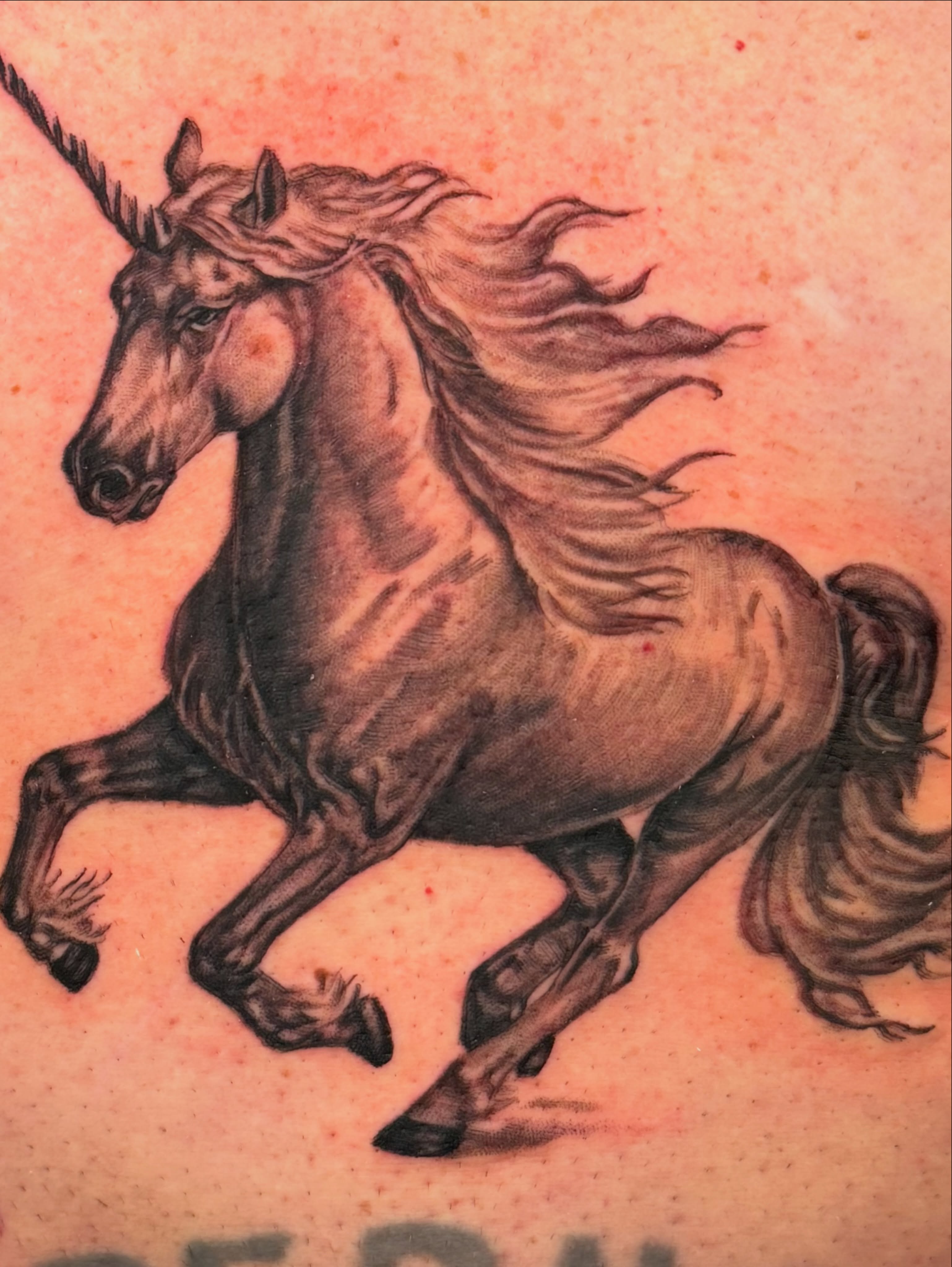Unicorn black and grey tattoo by Rafael Marte, White Plains, New York