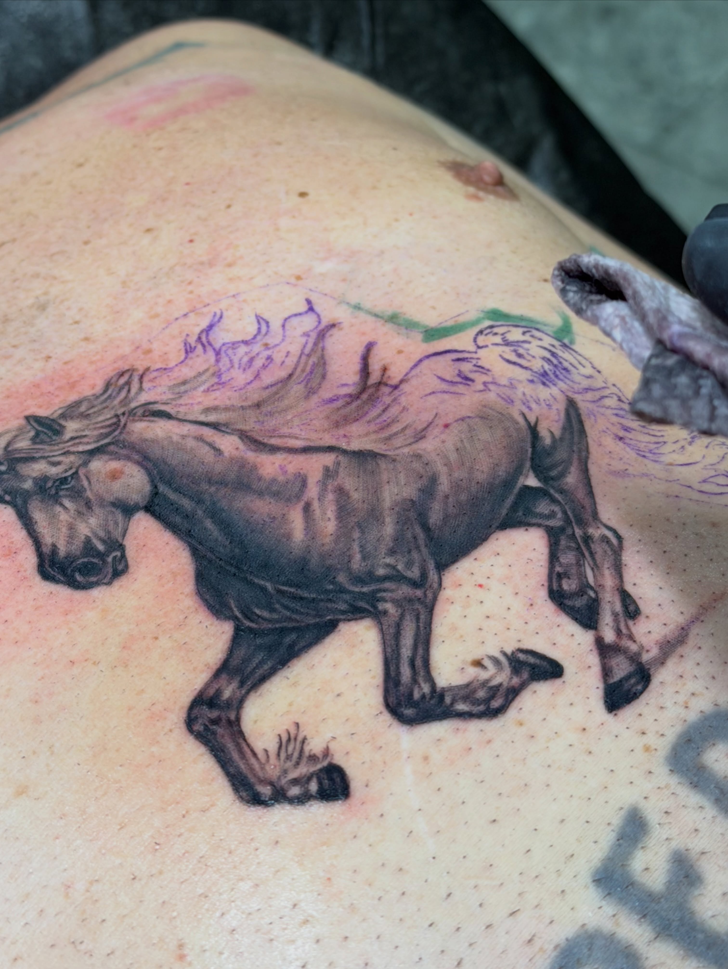 Galloping horse realism tattoo on the back by Rafael Marte, White Plains, New York
