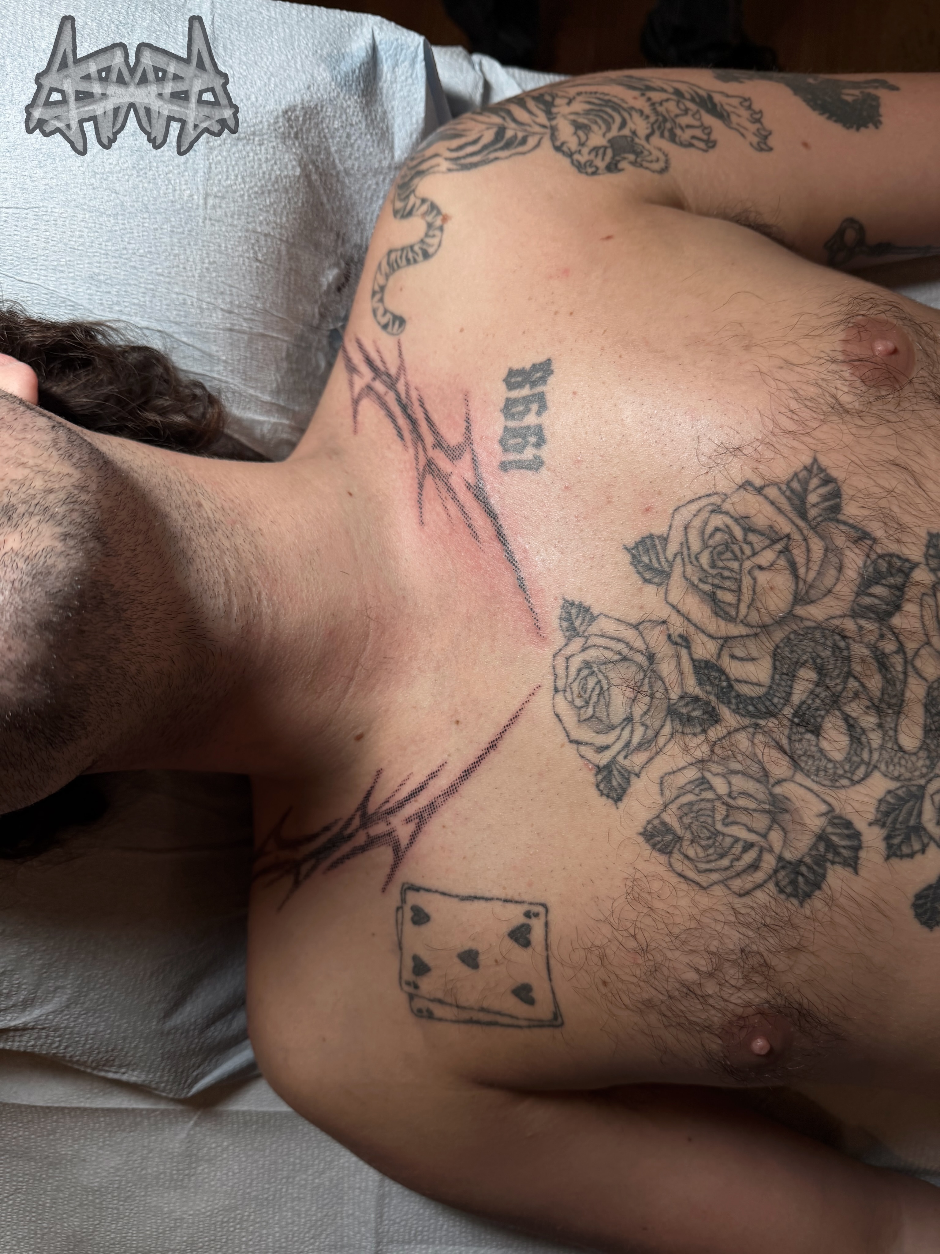 Roses and snake black and grey tattoo on the chest by Haza