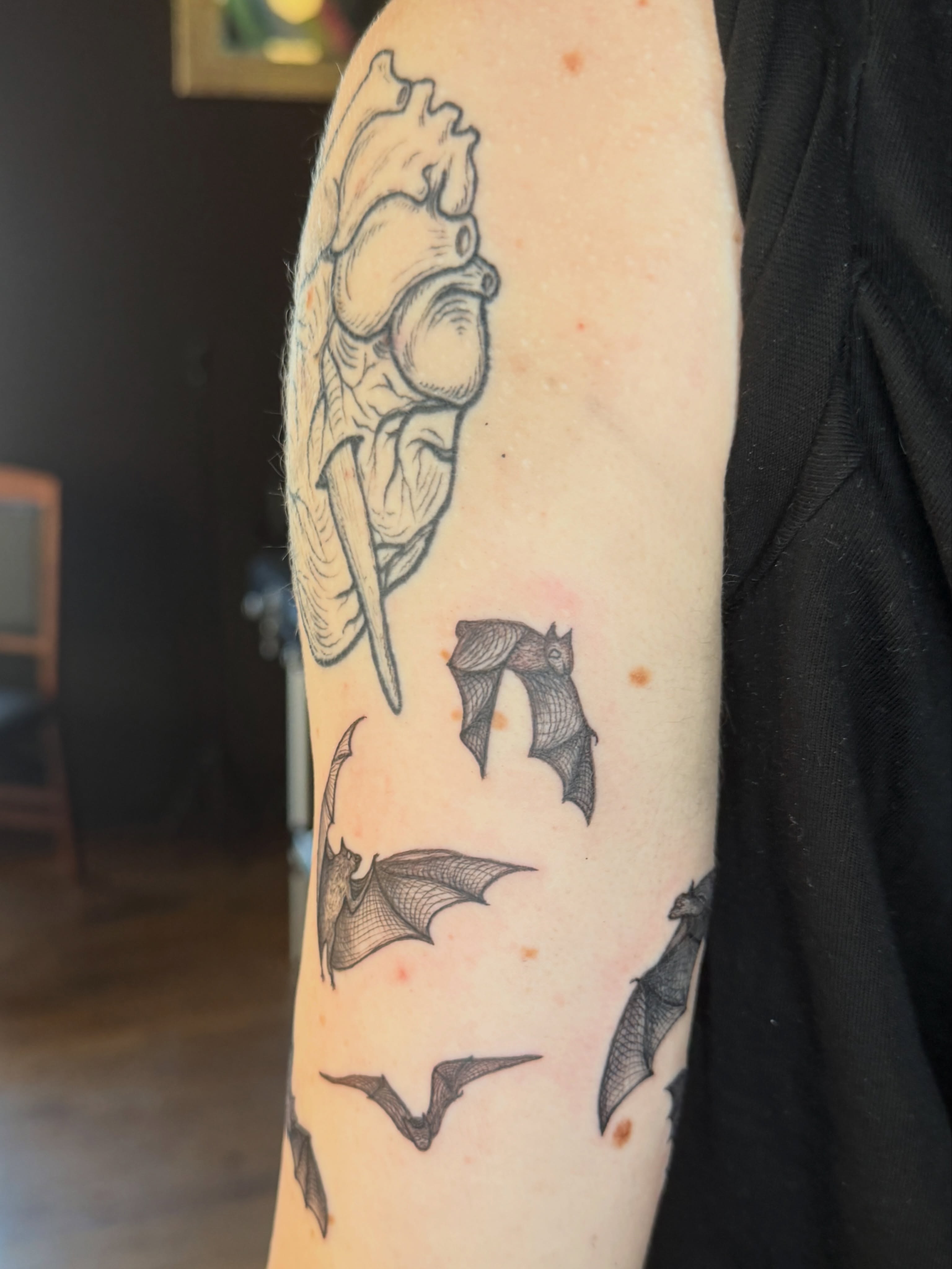 Bat and rose black and grey tattoo on the forearm by Lora Bird