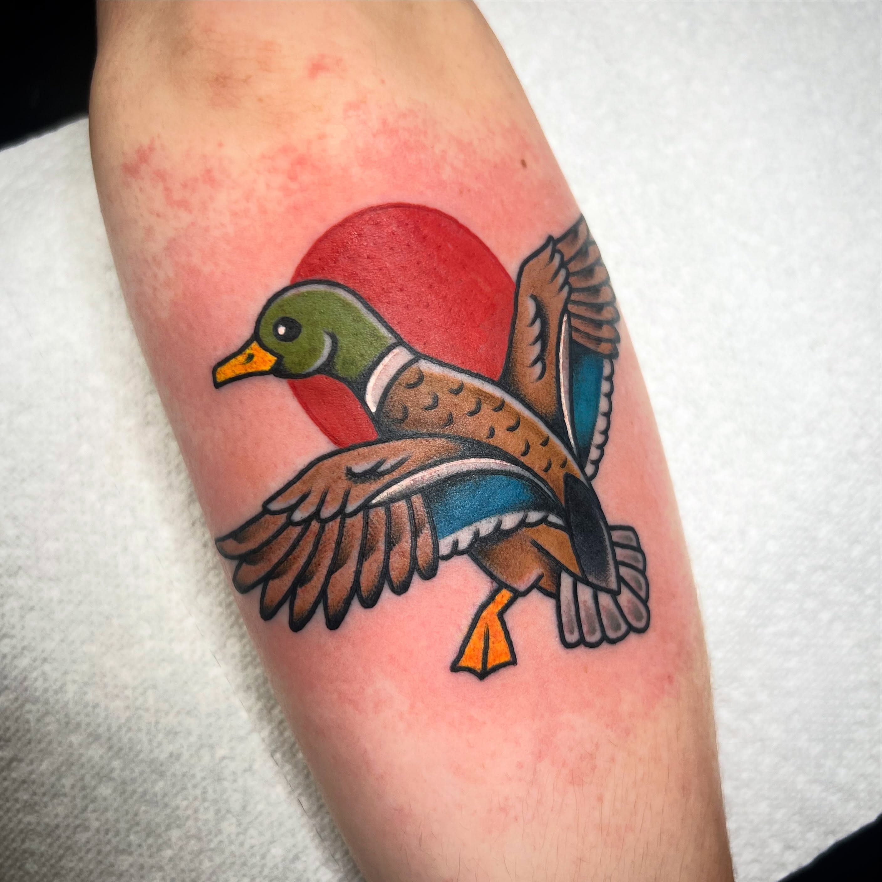 Duck American traditional tattoo on the forearm by Taylor Estrella
