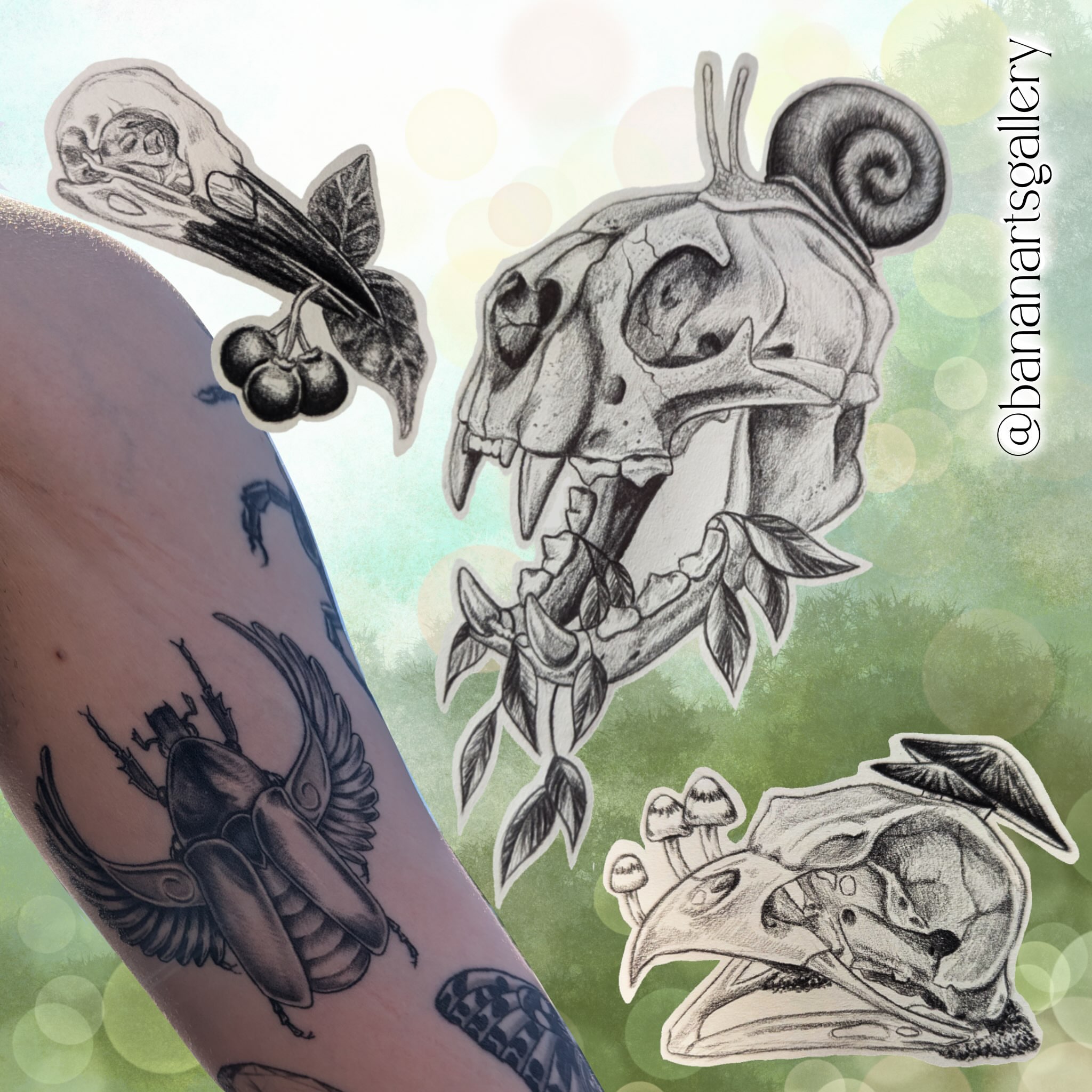 Insect and skulls realism tattoo on the forearm by Hannah Hayes, Livonia, Michigan