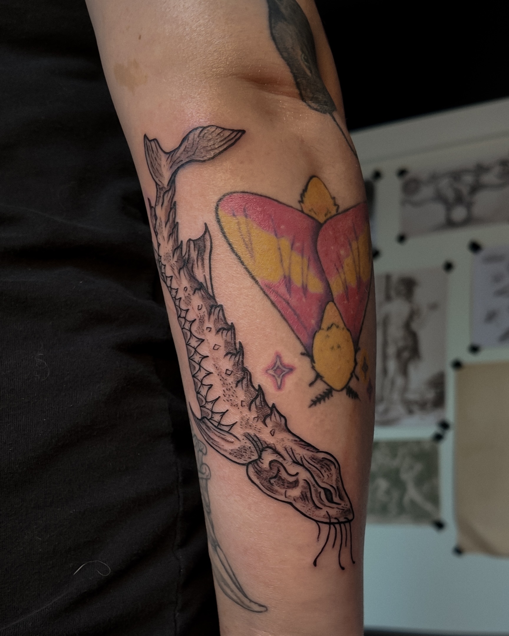 Shark and butterfly American traditional tattoo on the forearm by Morgan Diann