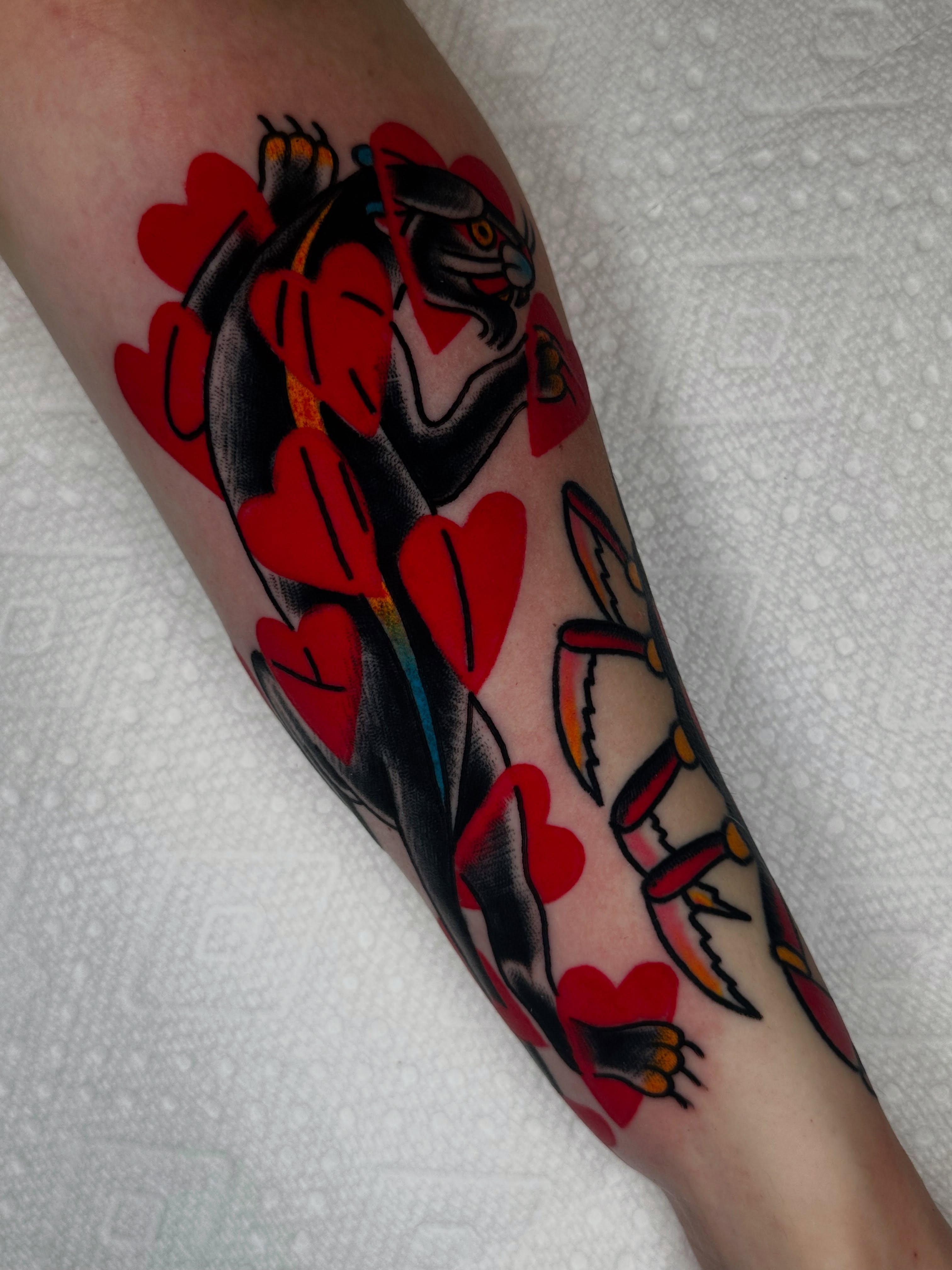 Cat and hearts American traditional tattoo on the forearm by Spencer Crawford, Speedway, Indiana