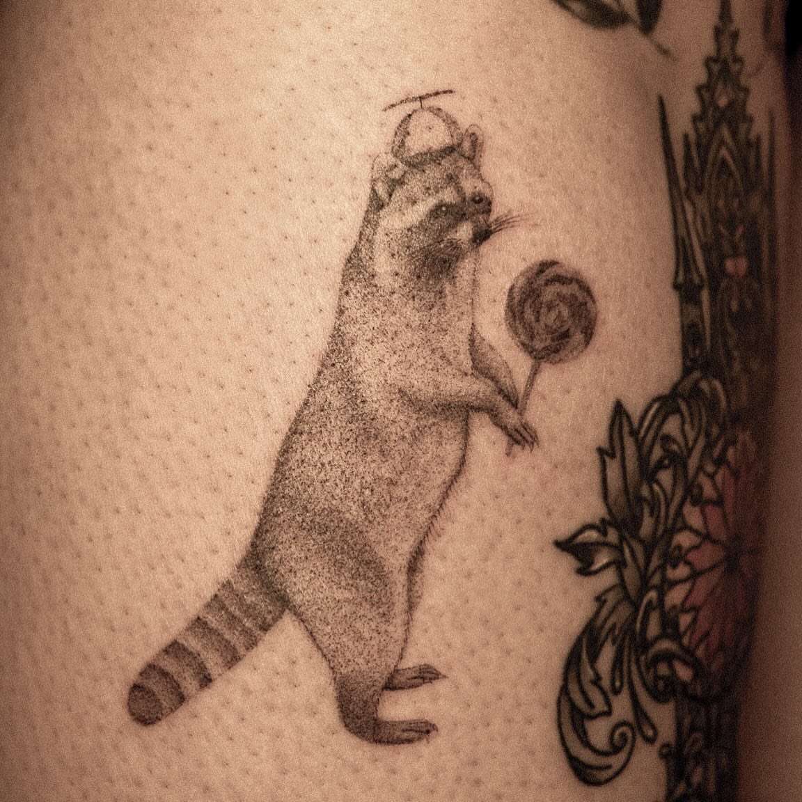 Raccoon dotwork tattoo on the forearm by ๐๐, Tacoma, Washington