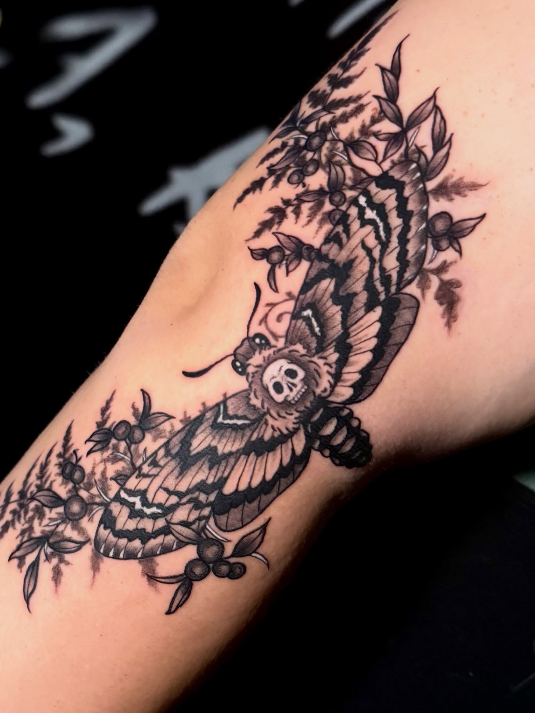 Moth with skull realism tattoo on the forearm by Taylor Kay 🌿
