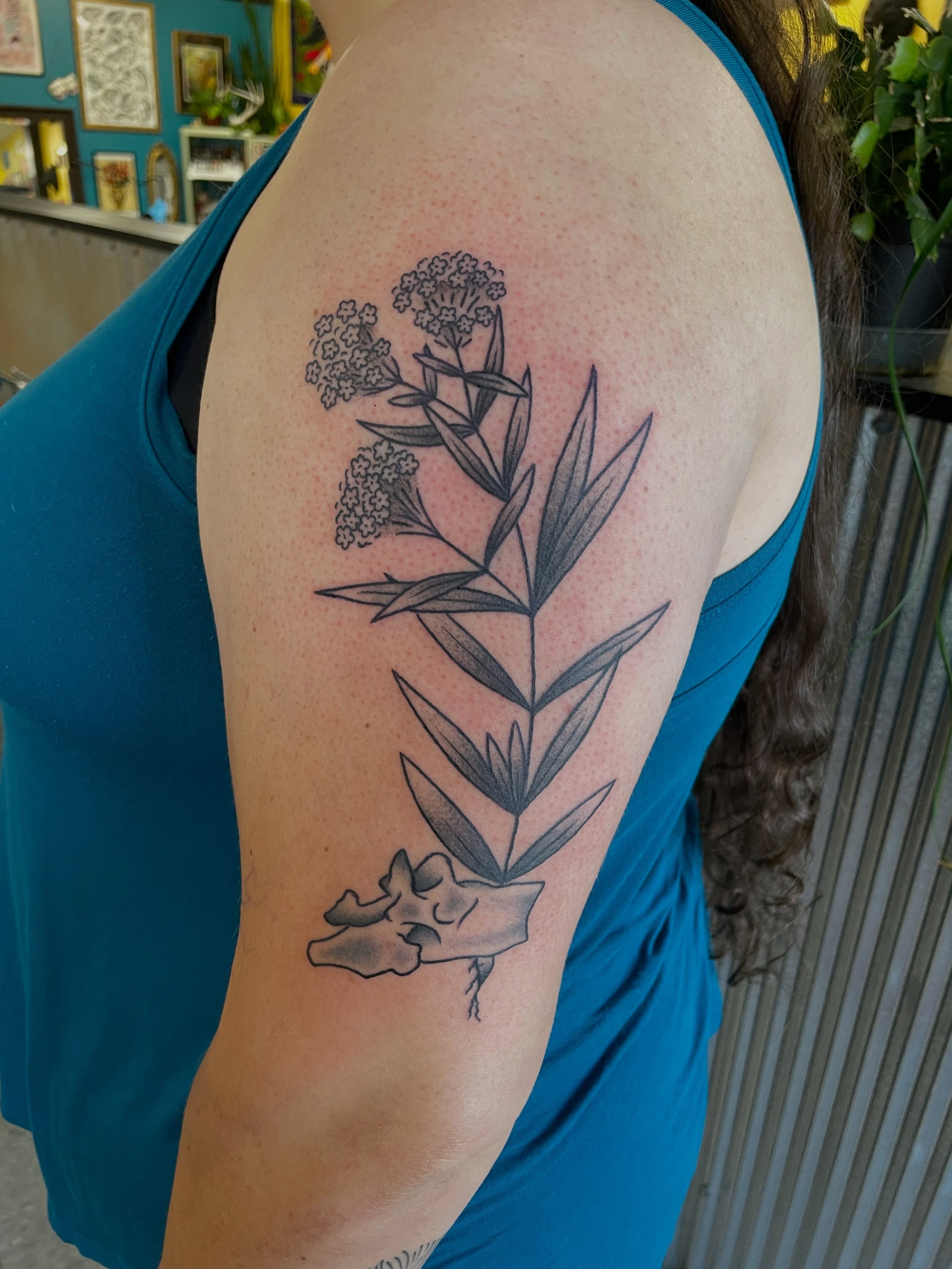 Plant and skull black and grey tattoo on the shoulder by Mallory Moore