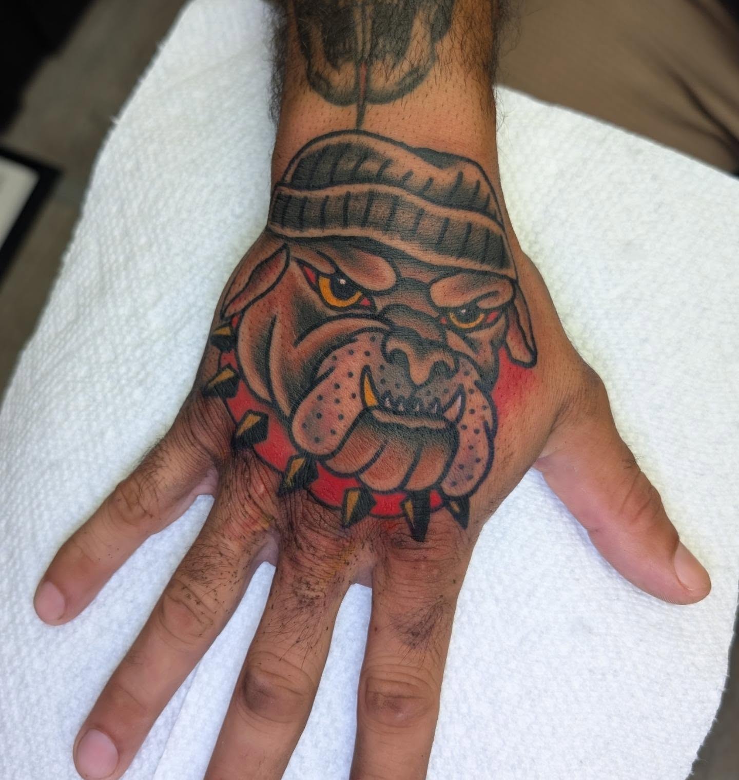 Bulldog American traditional tattoo on the hand by Erik O'Steen, Medford, Massachusetts