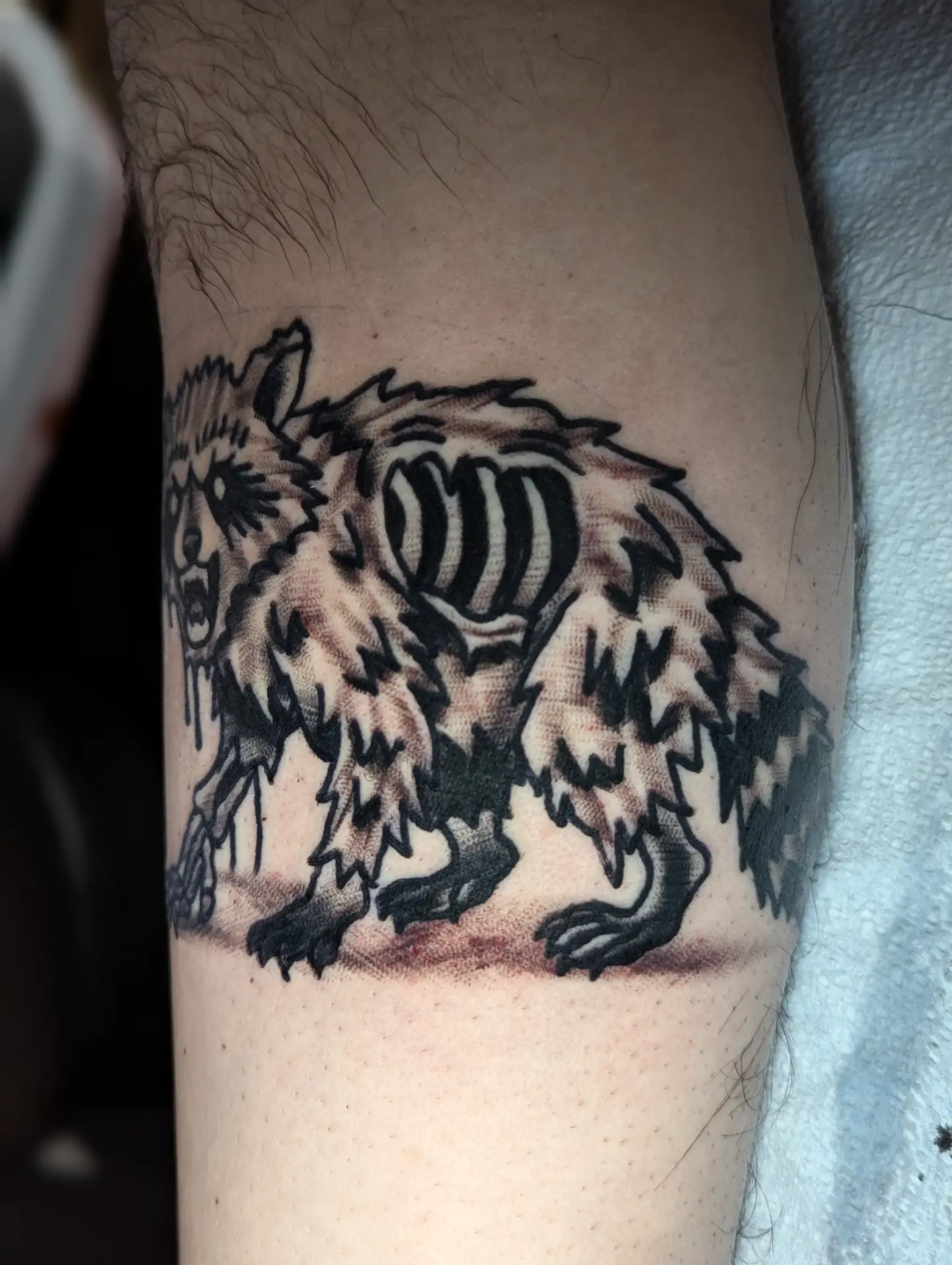 Bear black and grey tattoo on the forearm by Eric Ward
