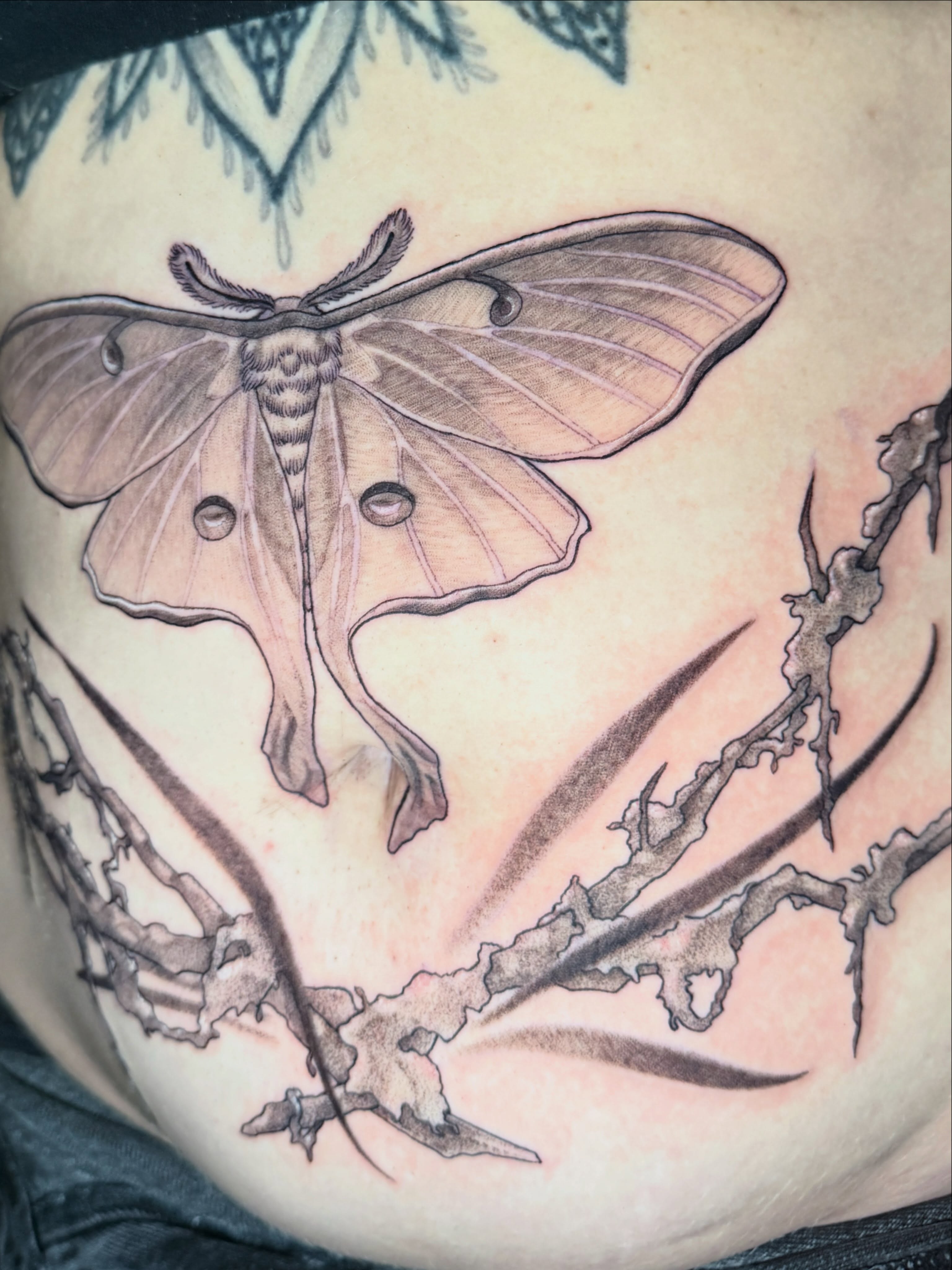 Tattoo by @back_alley_emily — realism