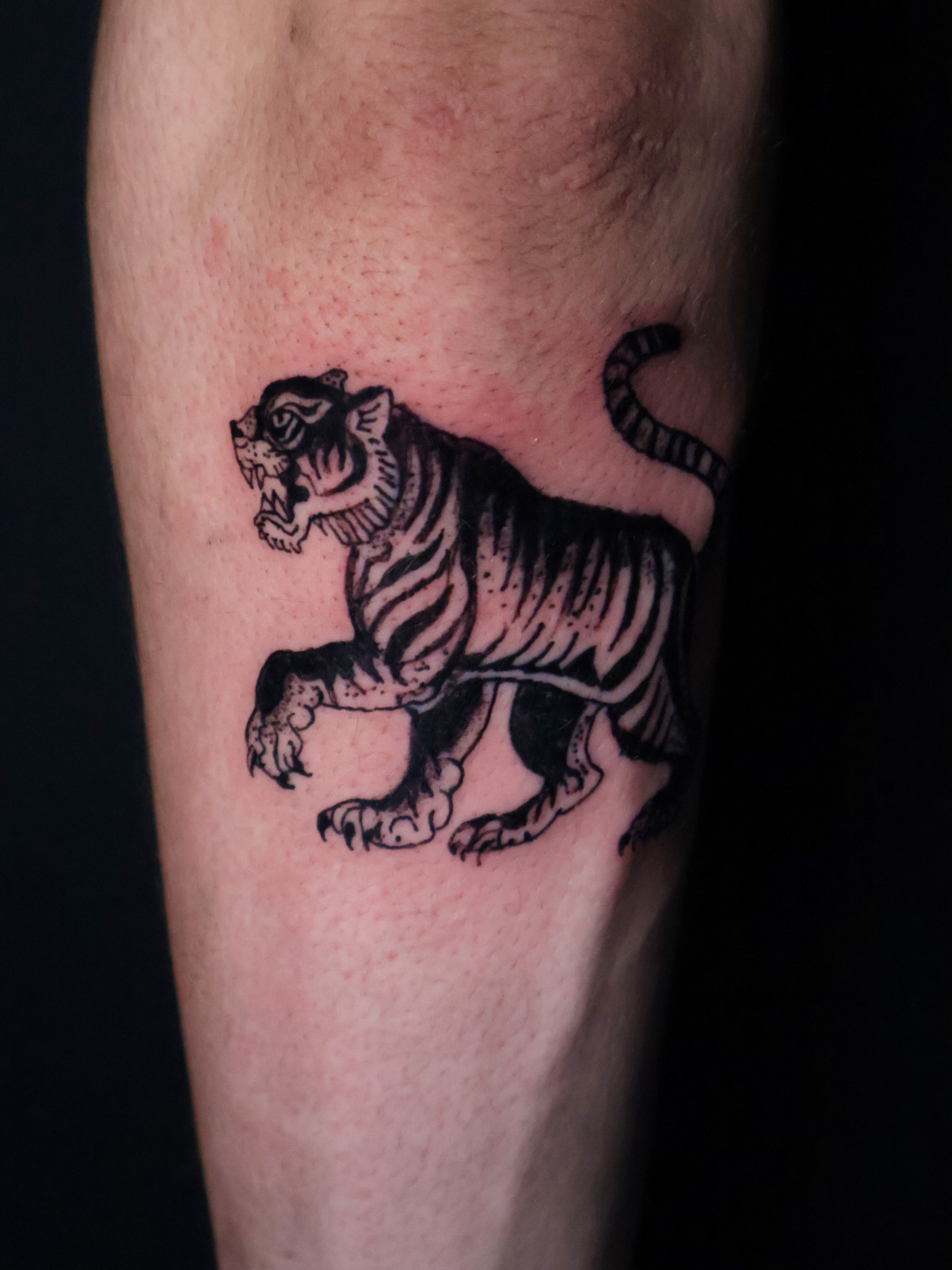 Tiger black and grey tattoo on the forearm by Denis Du Preez, East Williamsburg, Brooklyn