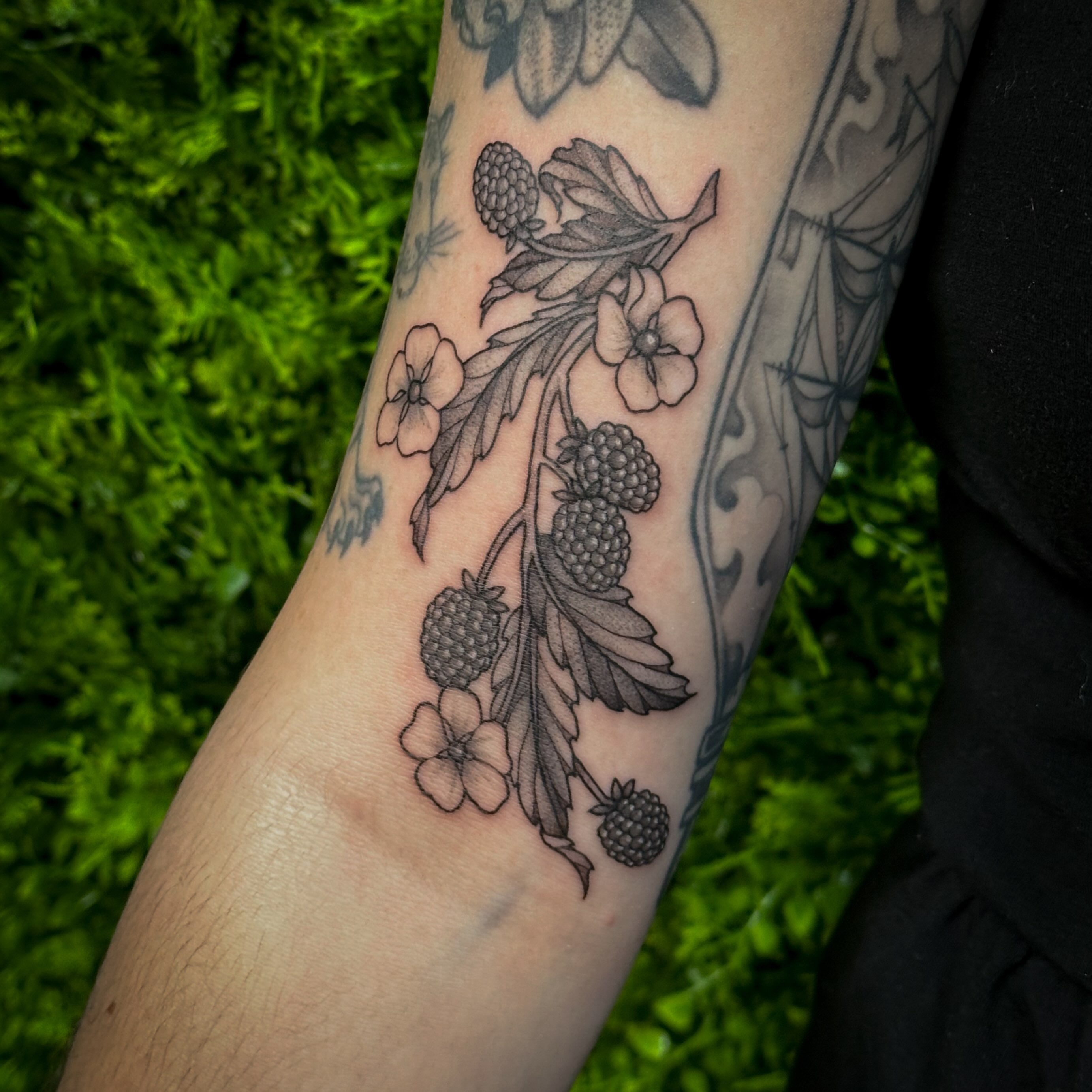 Berry plant black and grey tattoo on the forearm by 𝑰𝒍𝒍𝒖𝒔𝒕𝒓𝒂𝒕𝒊𝒗𝒆 𝑵𝒂𝒕𝒖𝒓𝒆 𝑻𝒂𝒕𝒕𝒐𝒐 𝑨𝒓𝒕𝒊𝒔𝒕