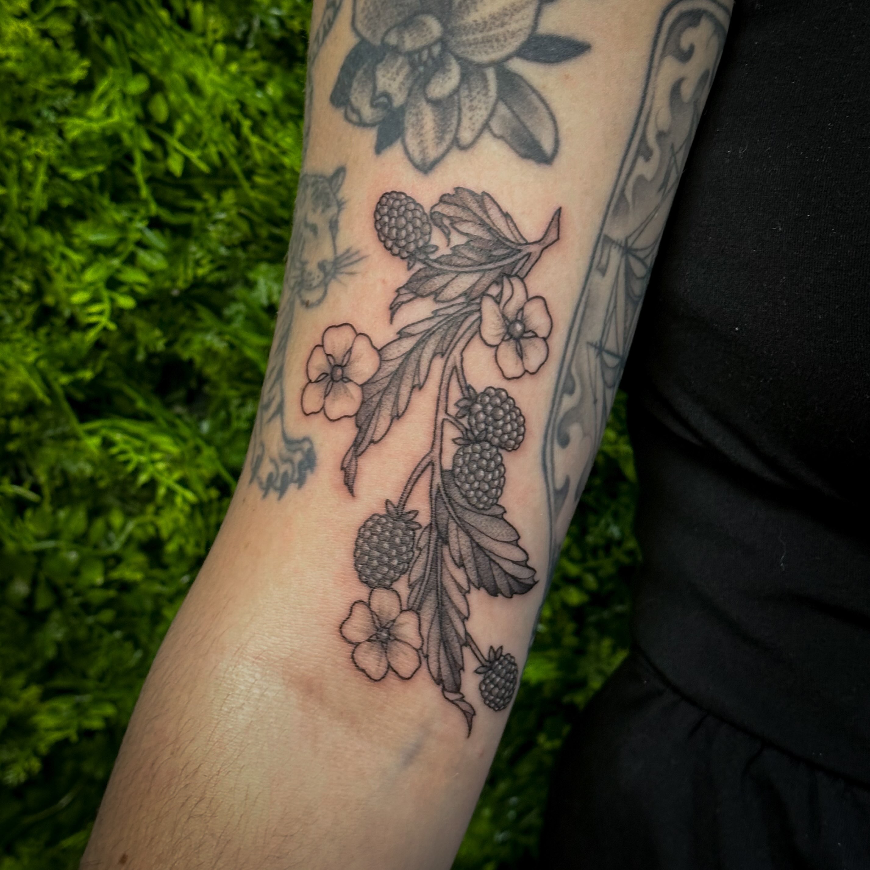 Raspberry plant black and grey tattoo on the forearm by 𝑰𝒍𝒍𝒖𝒔𝒕𝒓𝒂𝒕𝒊𝒗𝒆 𝑵𝒂𝒕𝒖𝒓𝒆 𝑻𝒂𝒕𝒕𝒐𝒐 𝑨𝒓𝒕𝒊𝒔𝒕