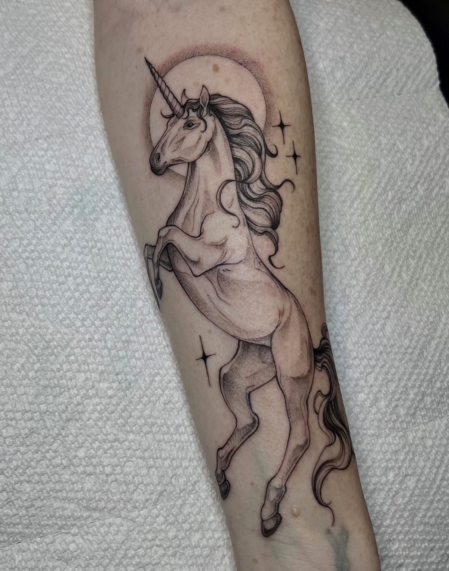 Unicorn dotwork tattoo on the forearm by Tehnaya