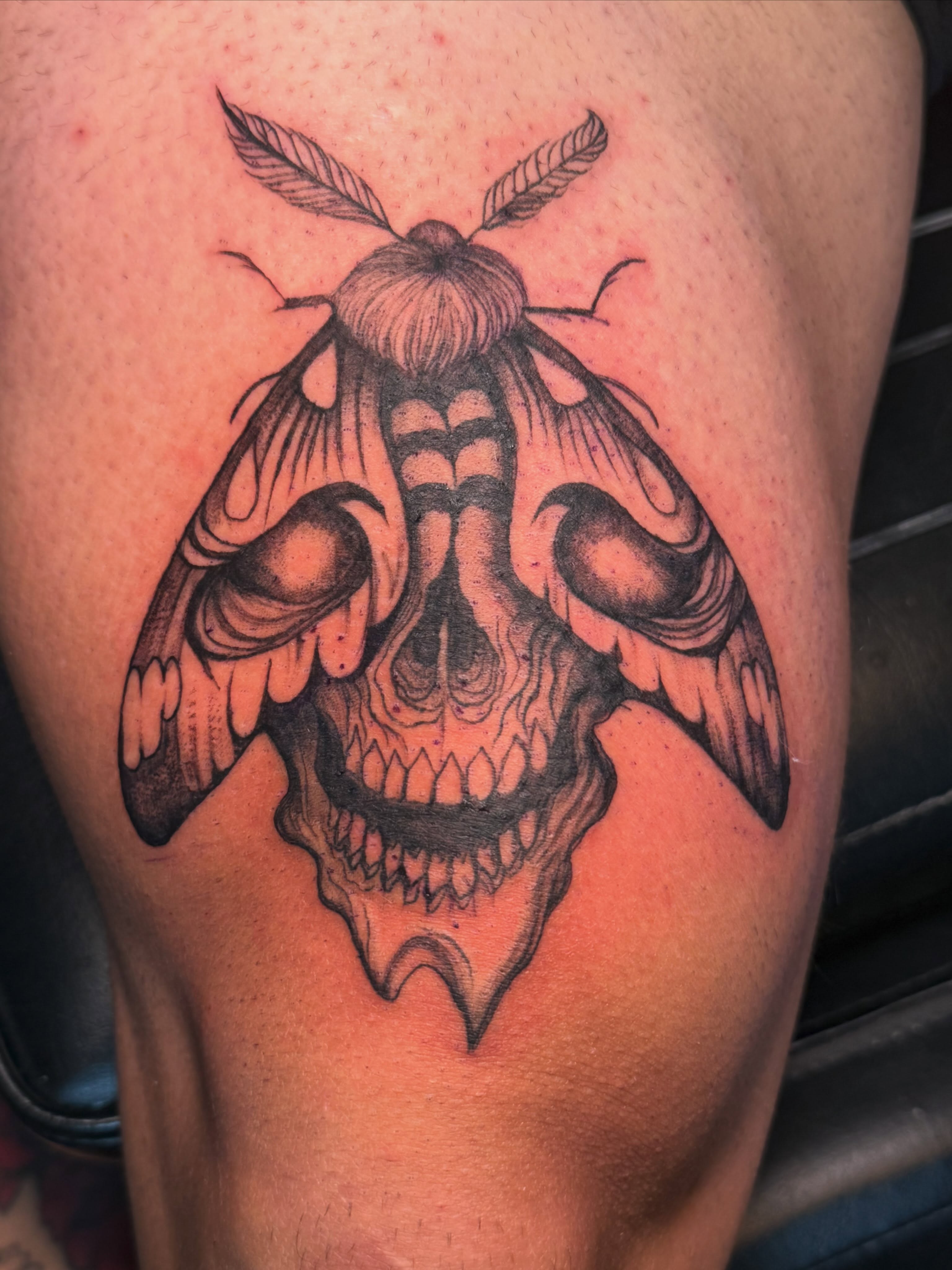 Moth skull dotwork tattoo on the thigh by Sonia vidal