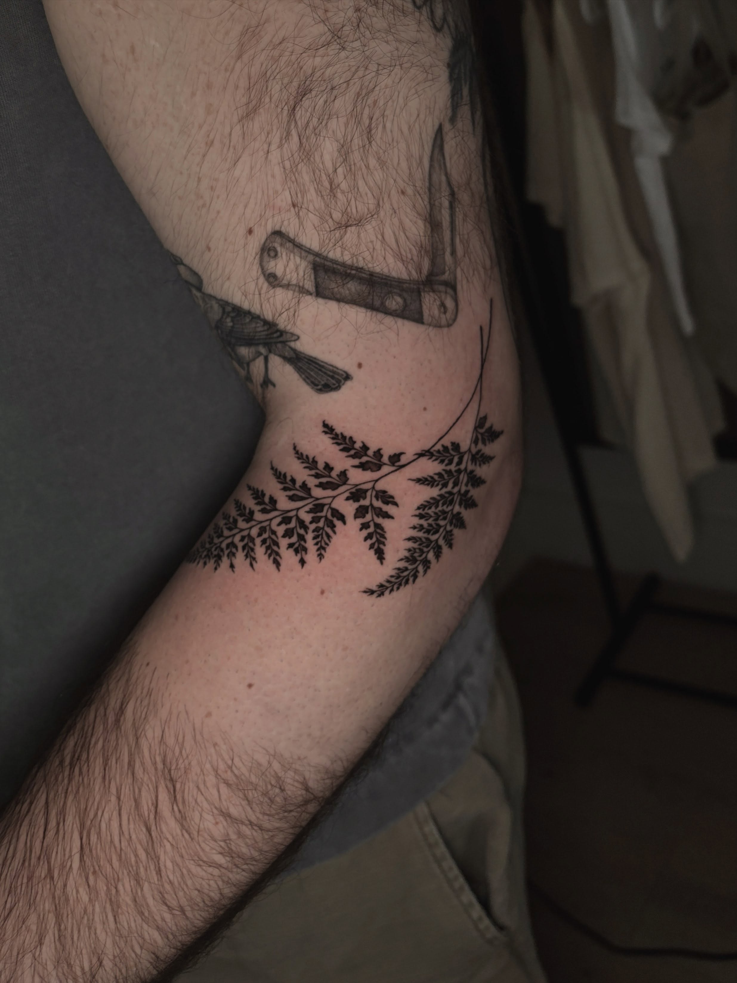 Bird and fern black and grey tattoo on the forearm by Emma Cotter