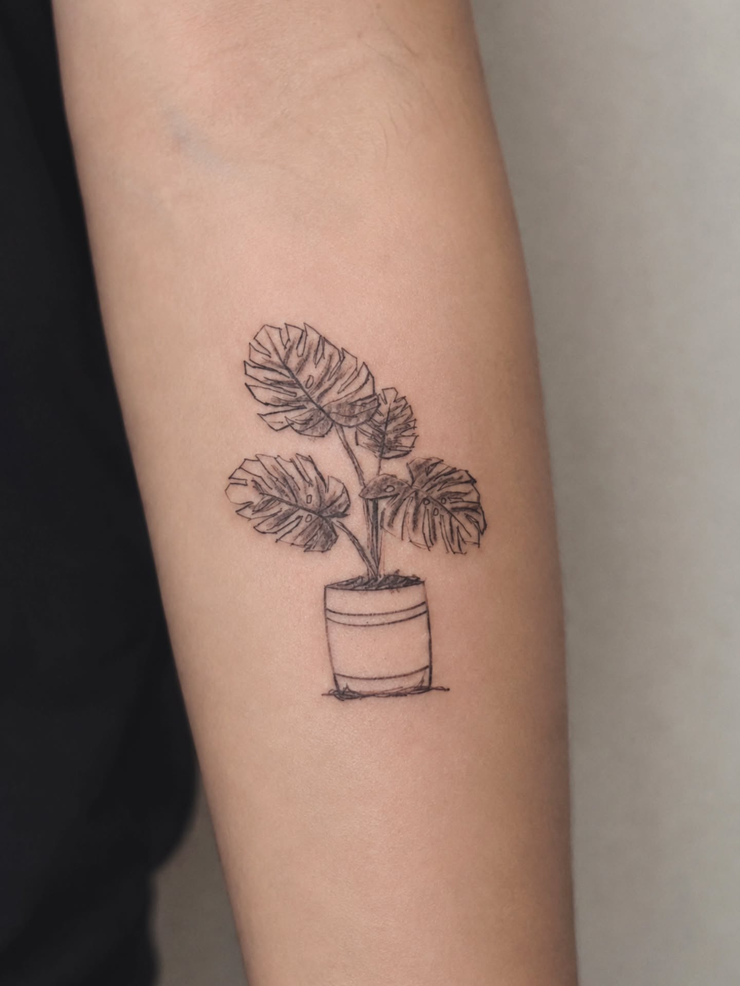 Tattoo by @tattooist.craneveil — minimalist
