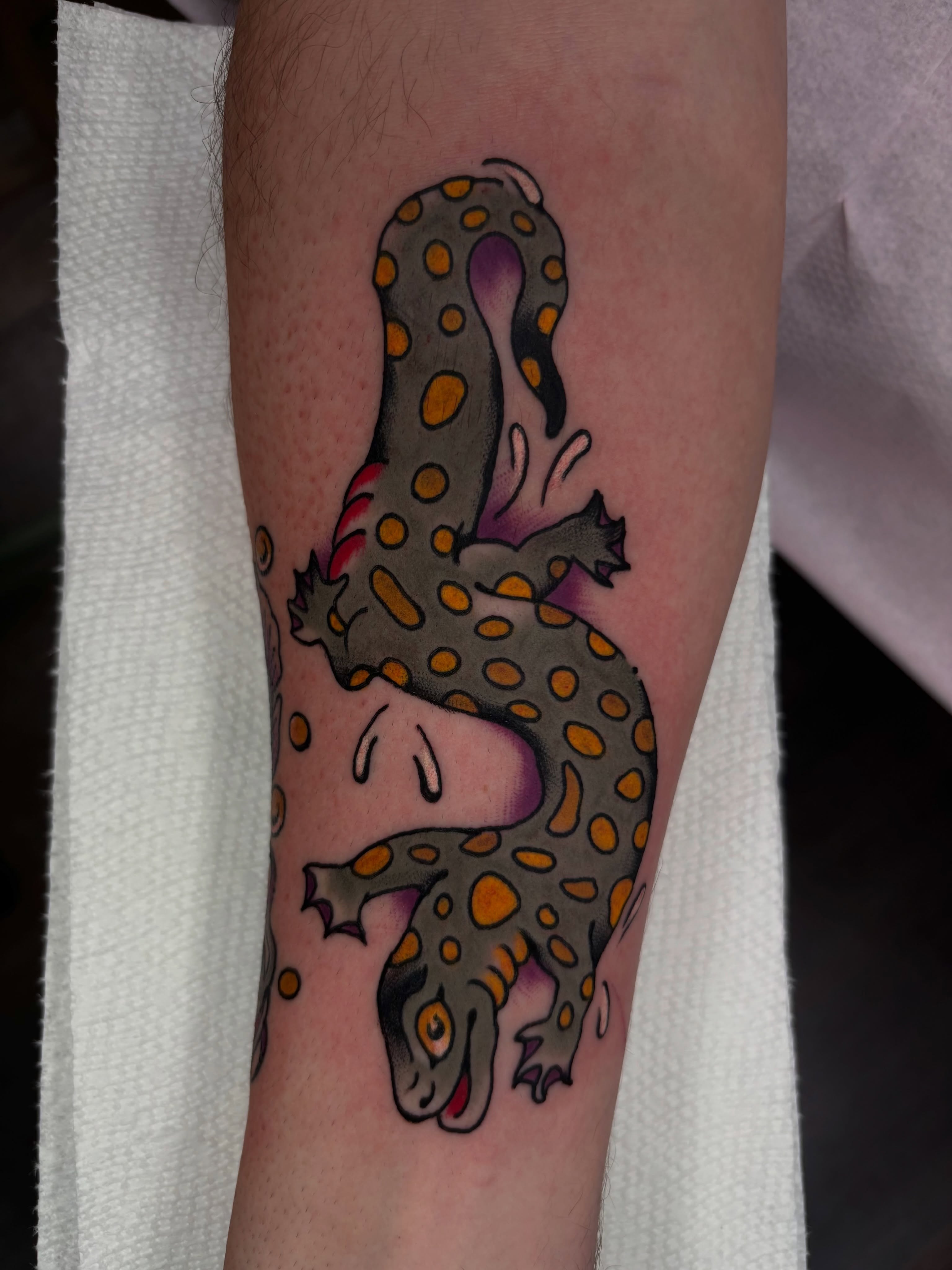 Gecko American traditional tattoo on the forearm by ericka bates