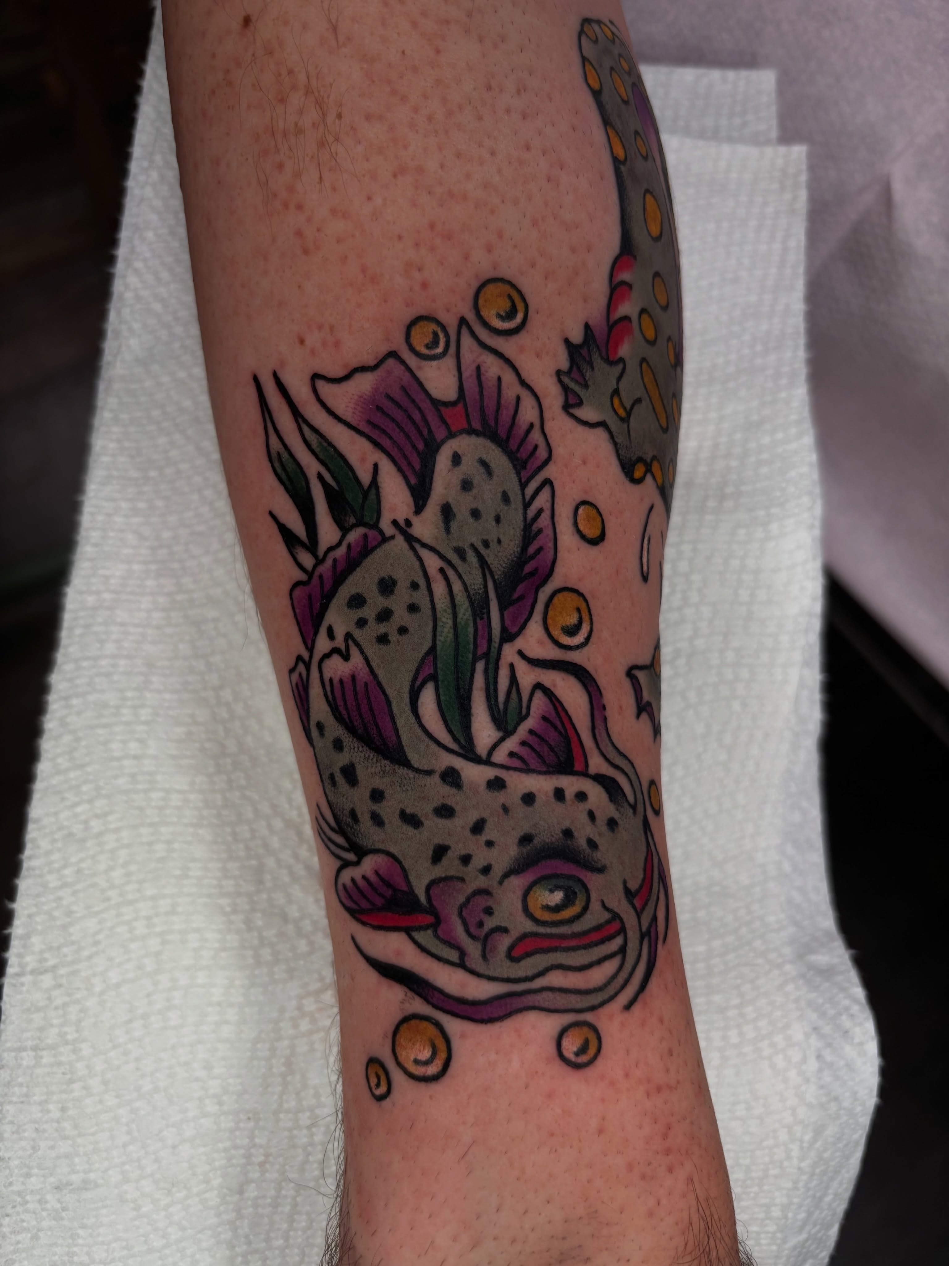 Fish American traditional tattoo on the forearm by ericka bates