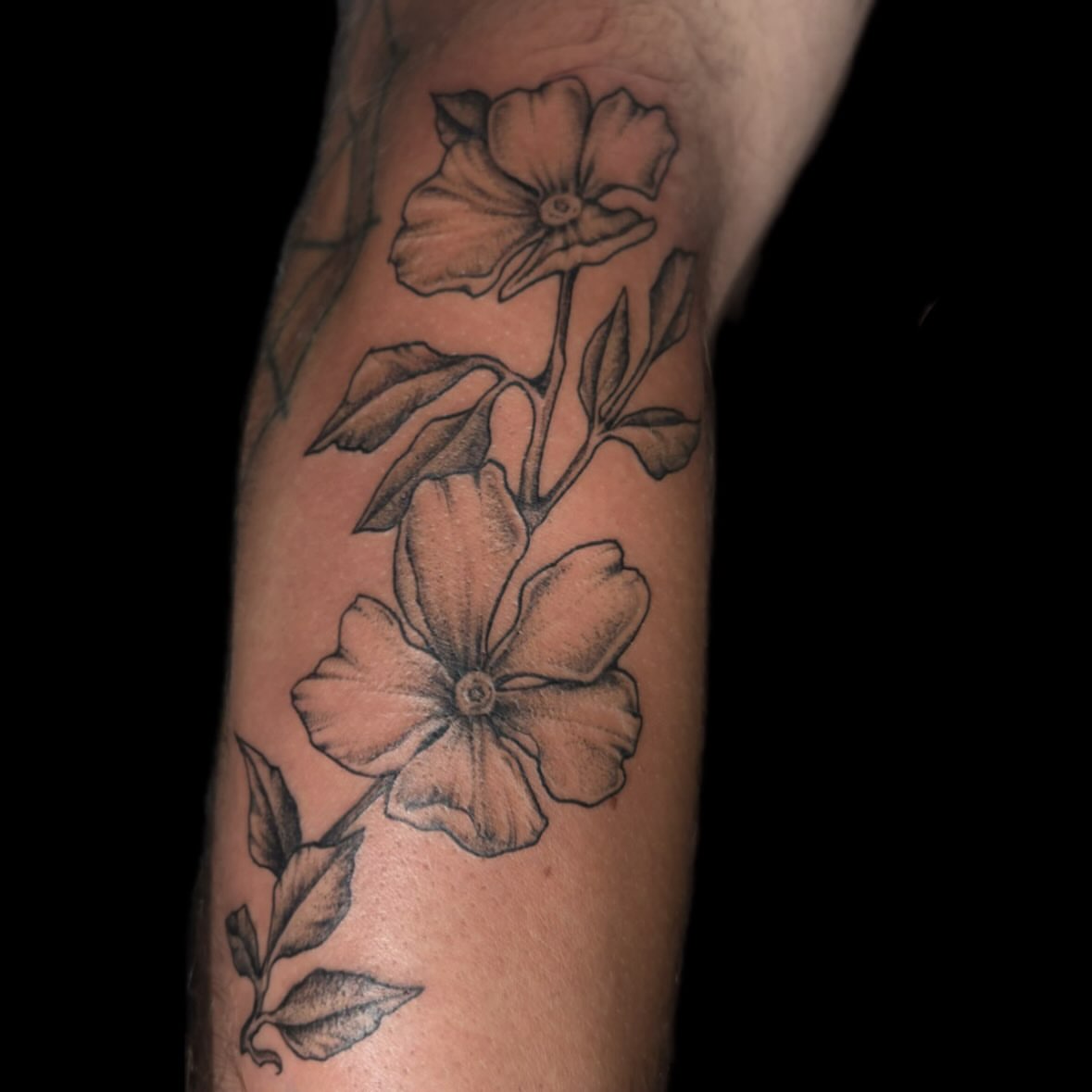 Flowers black and grey tattoo on the forearm by amy mangeri ๐ฆ