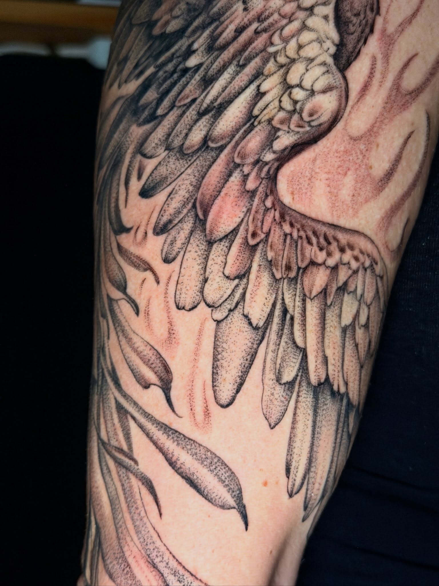 Wings dotwork tattoo on the forearm by Giovanna Kline