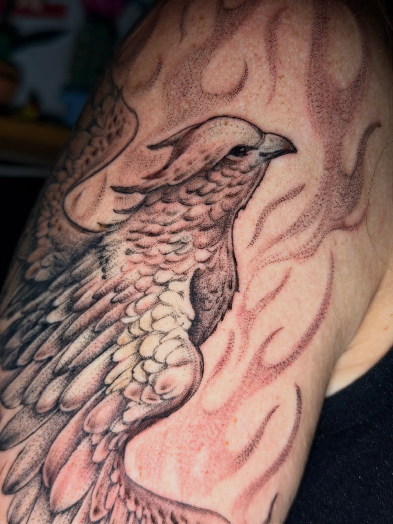 Bird dotwork tattoo on the shoulder by Giovanna Kline