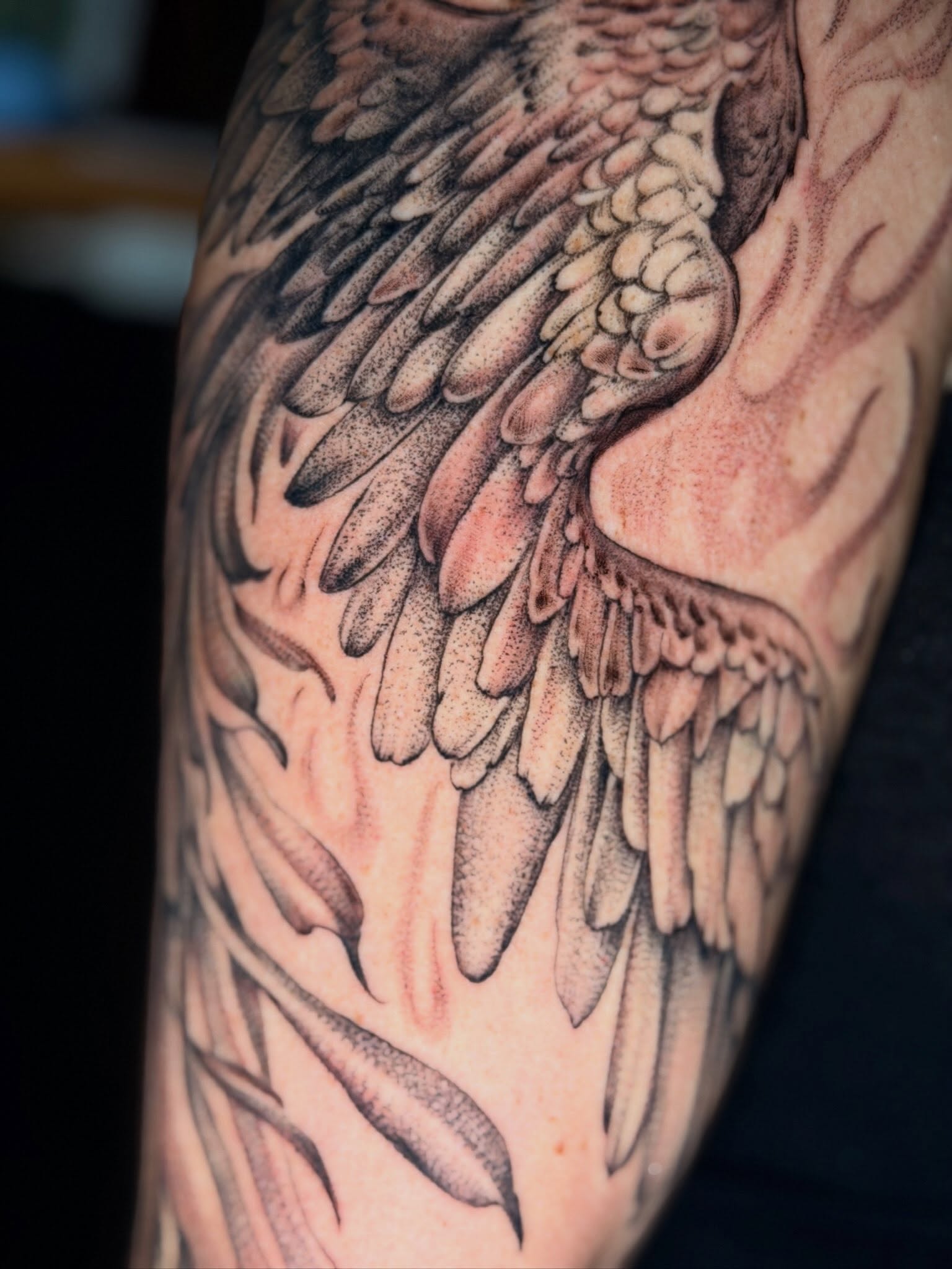 Wings dotwork tattoo on the forearm by Giovanna Kline