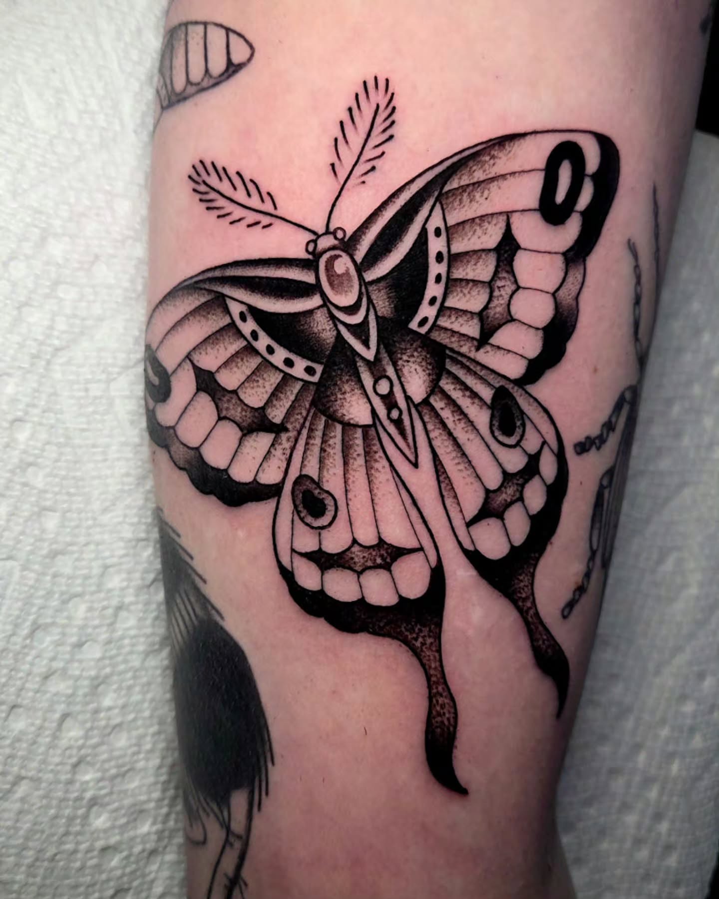 Butterfly black and grey tattoo on the forearm by CASEY JENSEN ✨ Fort Collins CO