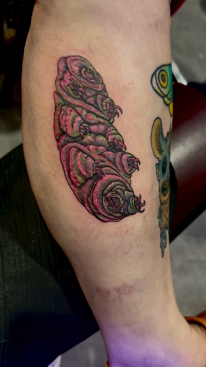 Tattoo by @bonesandstars — realism, dotwork