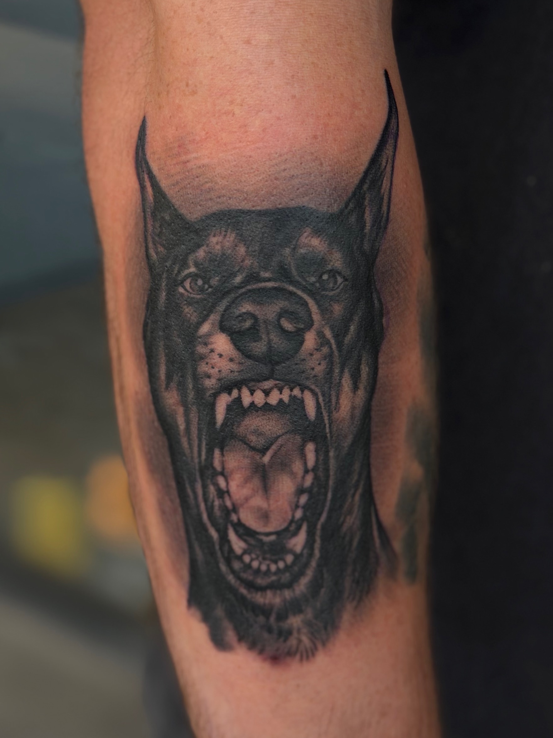 Angry dog realism tattoo on the forearm by Calvin Maryland 🇵🇹