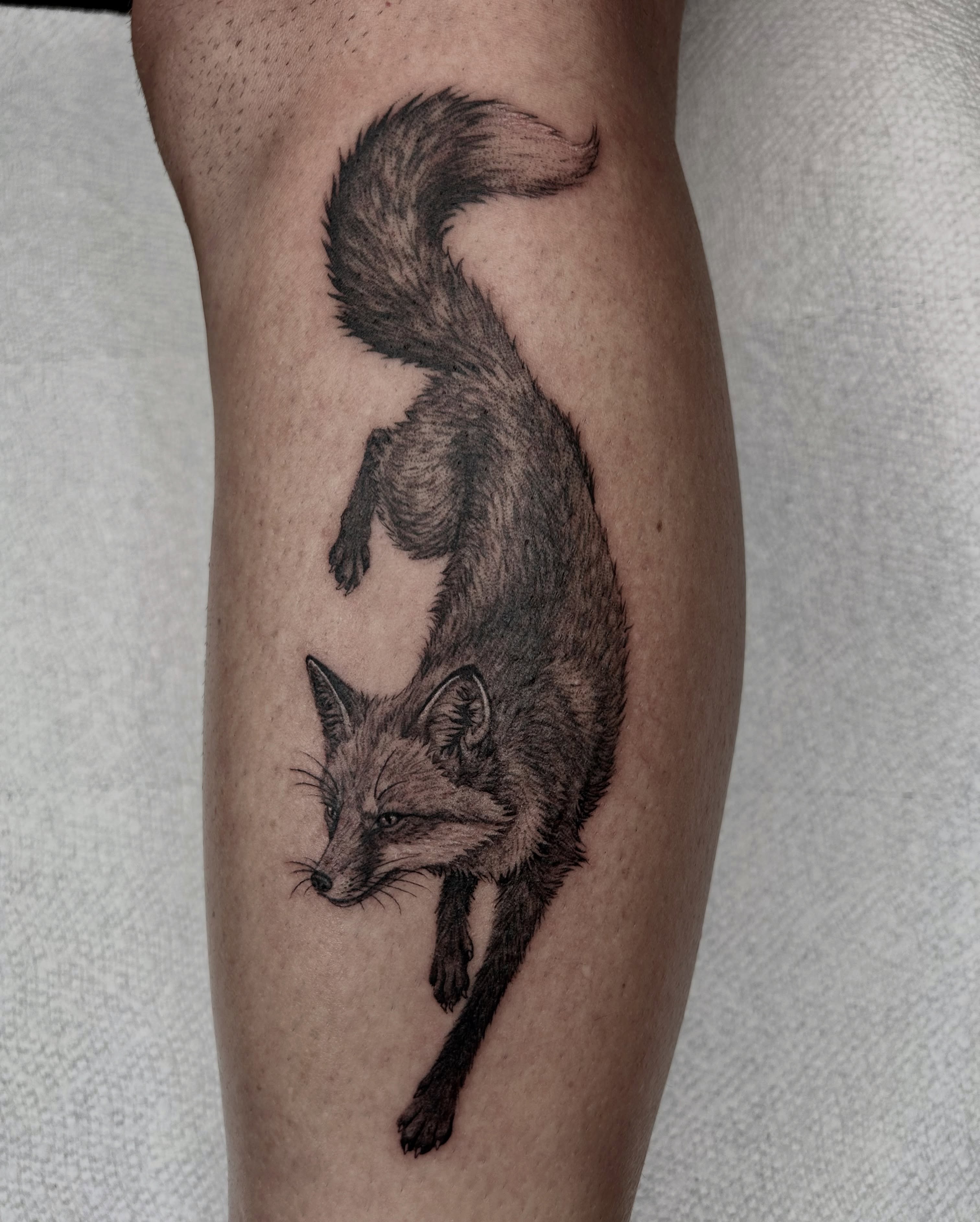 Fox realism tattoo on the forearm by 𝕤𝕒𝕧𝕒𝕟𝕟𝕒