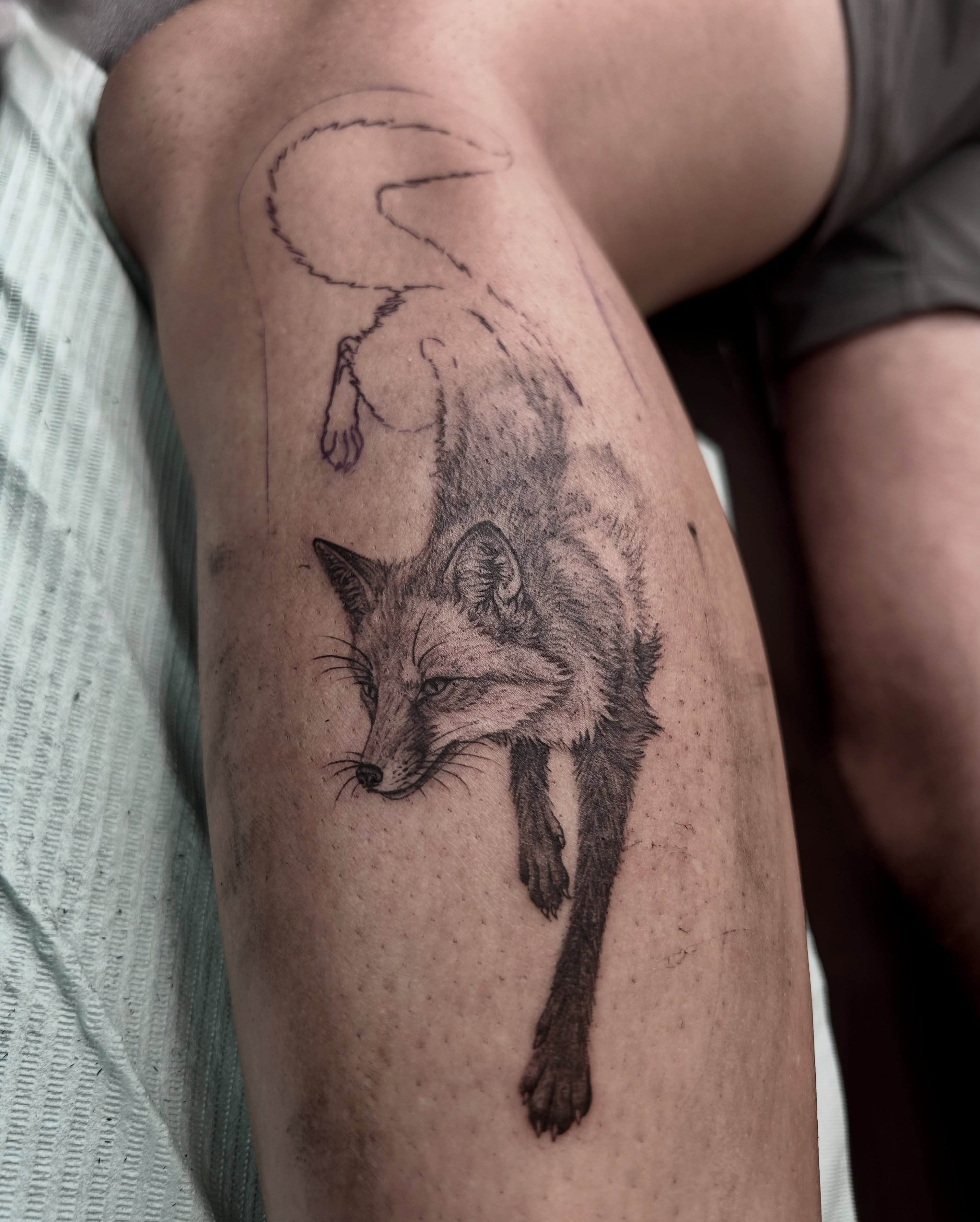 Fox realism tattoo on the thigh by 𝕤𝕒𝕧𝕒𝕟𝕟𝕒